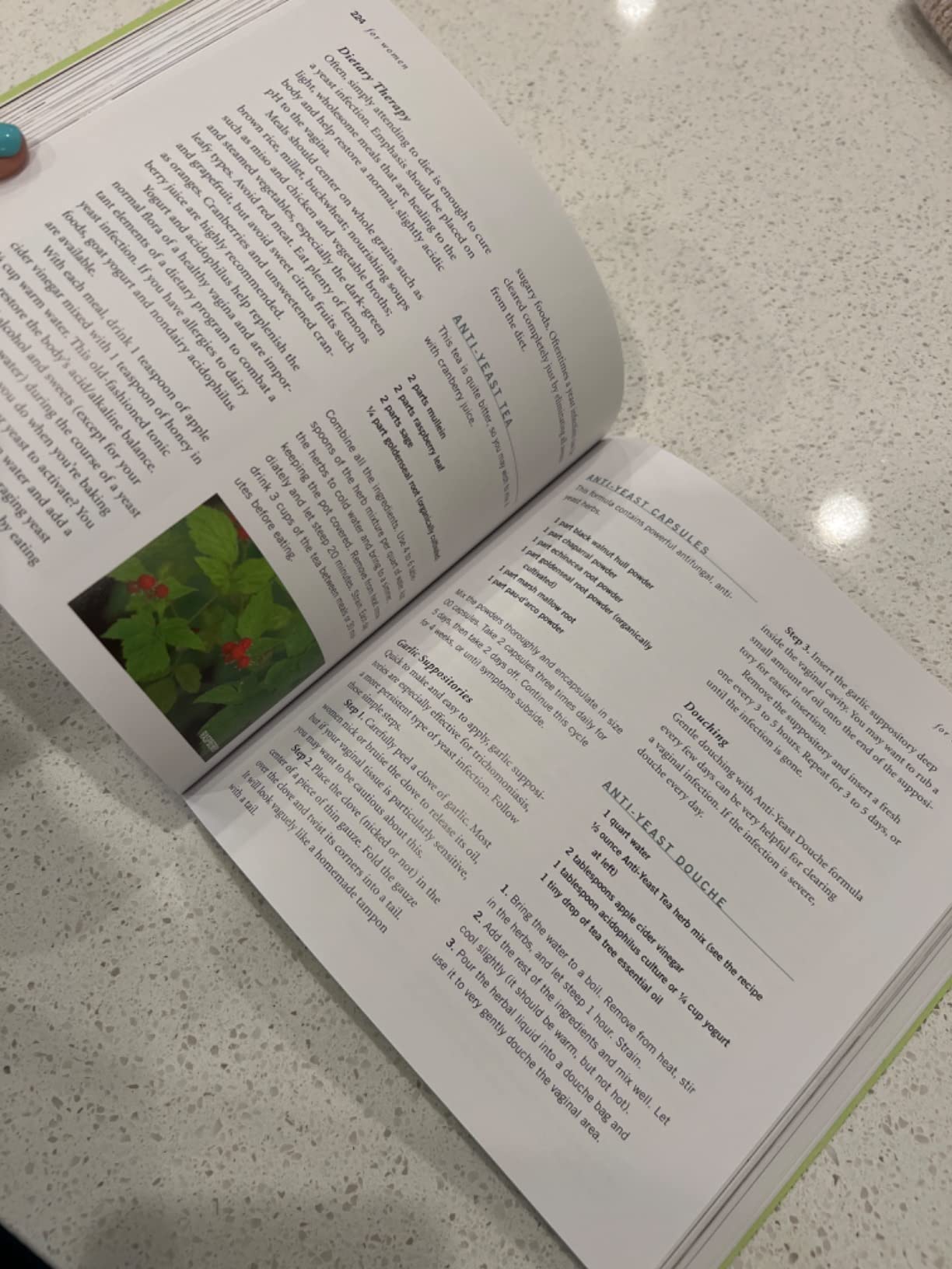 Rosemary Gladstar's Herbal Recipes for Vibrant Health: 175 Teas, Tonics, Oils, Salves, Tinctures, and Other Natural Remedies for the Entire Family customer photo 1