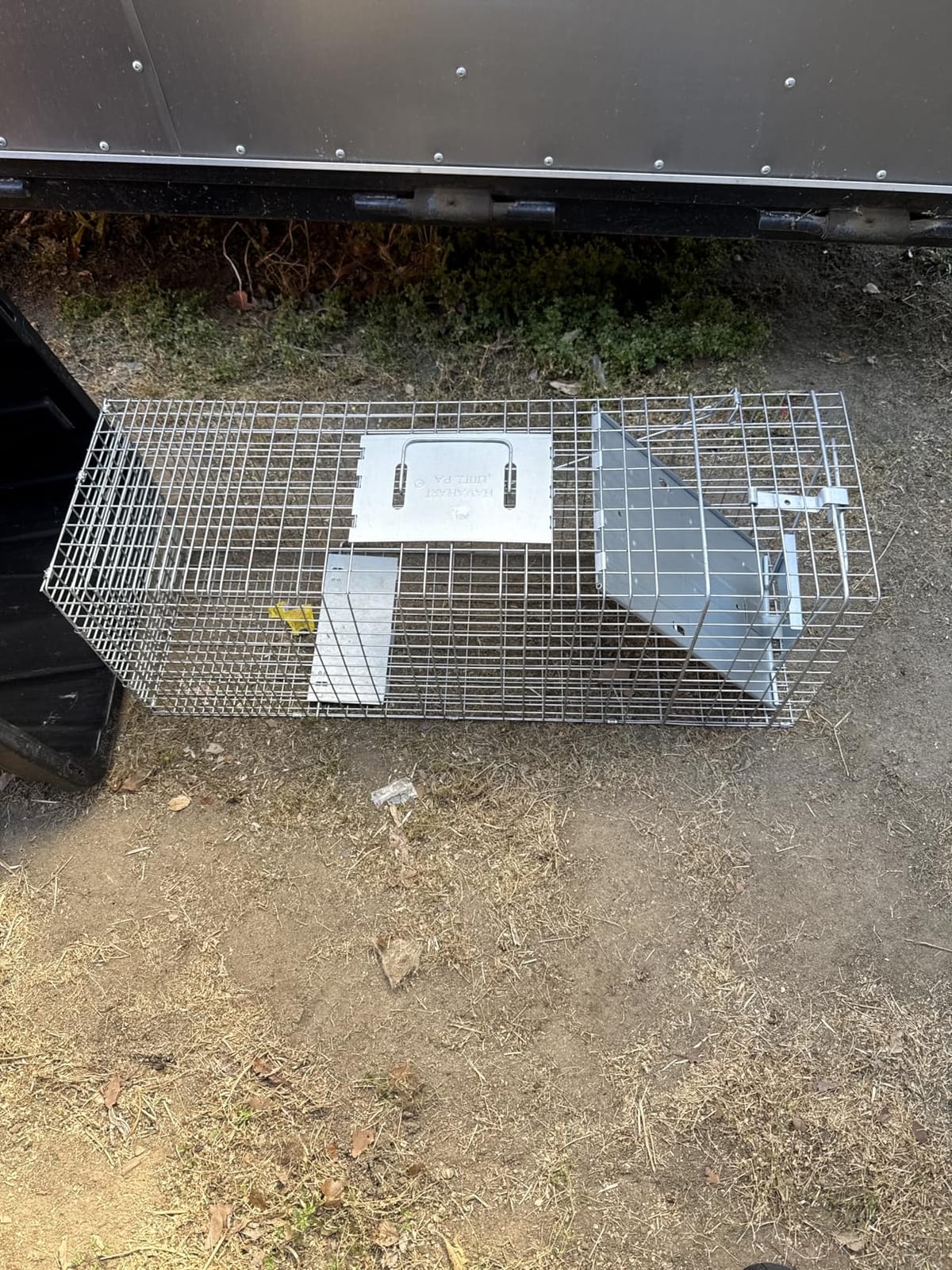 Havahart Large 1-Door Live Animal Trap for Raccoons, Cats, Bobcats, Beavers customer photo 1