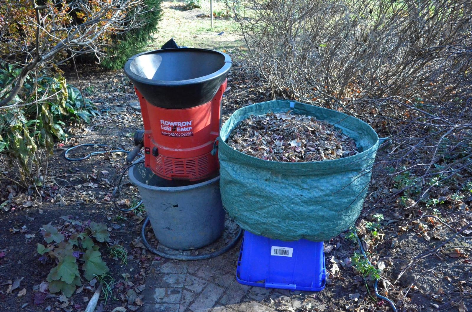 Flowtron Electric Leaf Mulcher and Shredder, 30:1 Ratio, 21 in Funnel customer photo 2