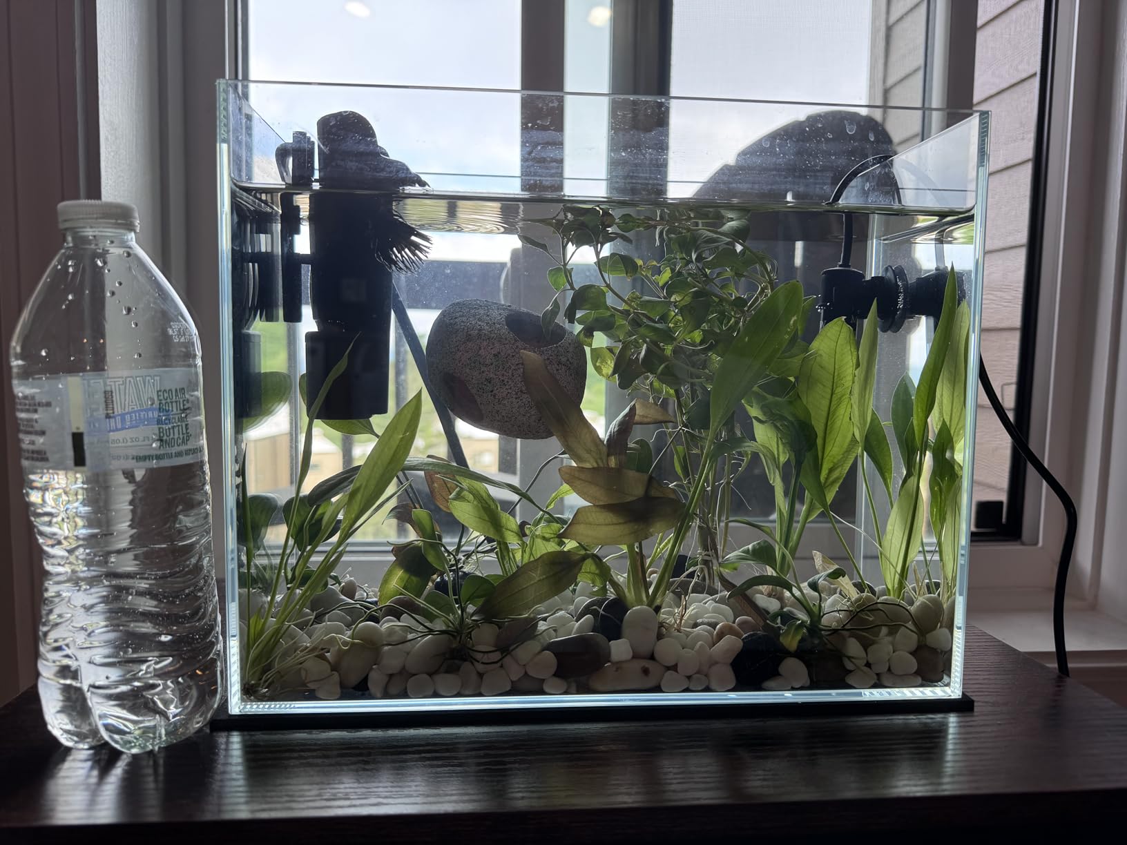 Tetra Whisper 170 GPH Internal Power Aquarium Filter customer photo 1