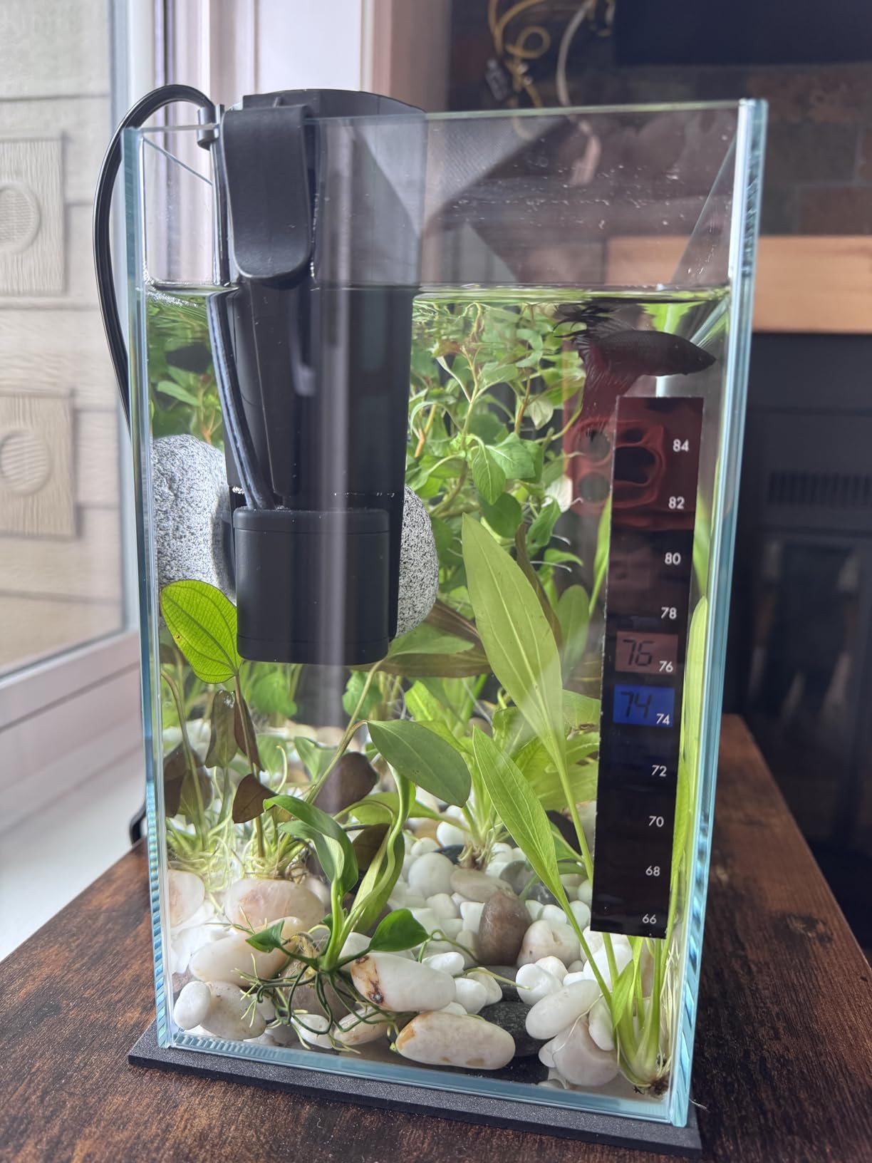 Tetra Whisper 170 GPH Internal Power Aquarium Filter customer photo 2