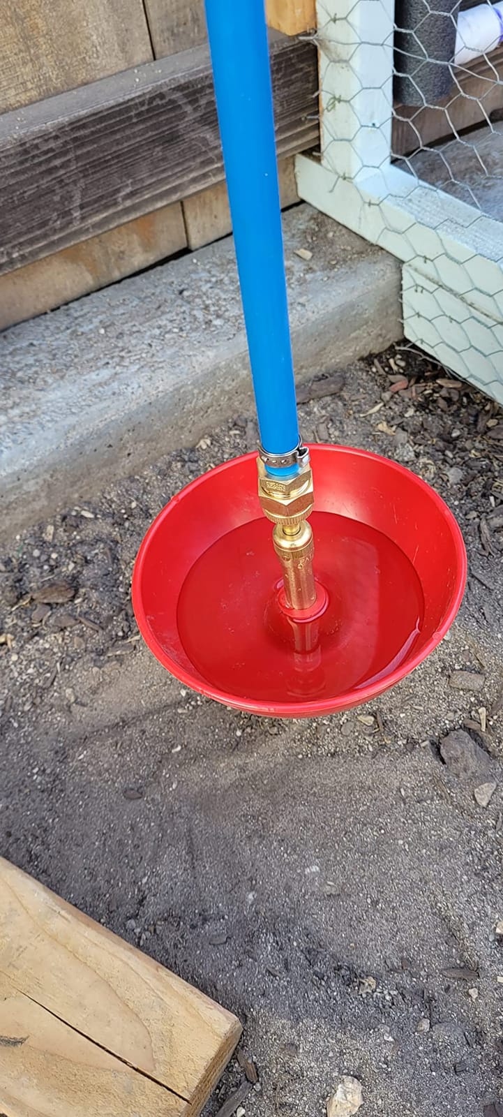 Little Giant® Automatic Poultry Fount | Game Bird Fount | Heavy Duty Plastic | Waterer Bowl with Hose Attachment | 1.5 Quarts customer photo 1