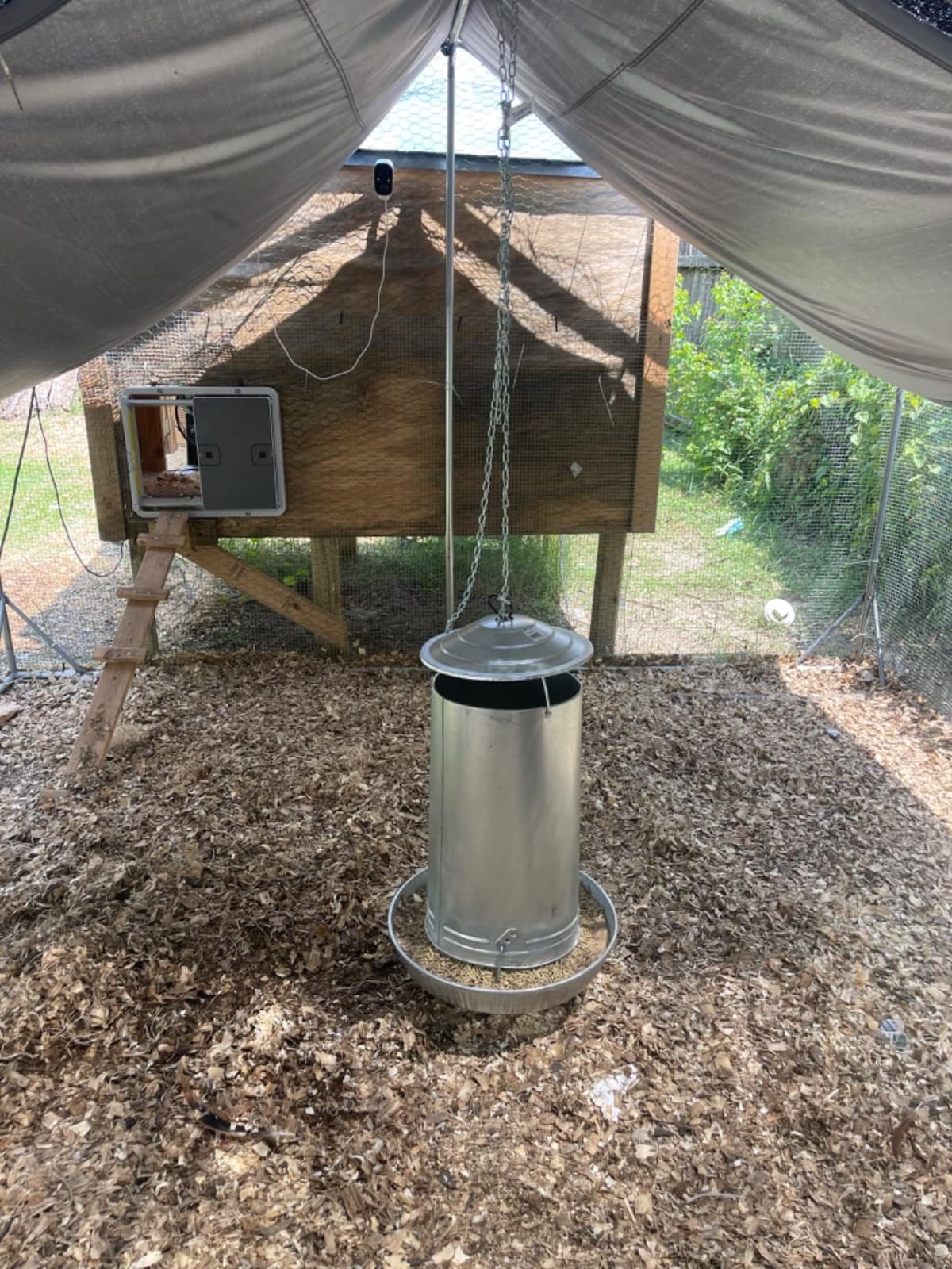 Hanging Poultry & Gamebird Feeder with Feed Pan, 30 Lb Galvanized Steel customer photo 2