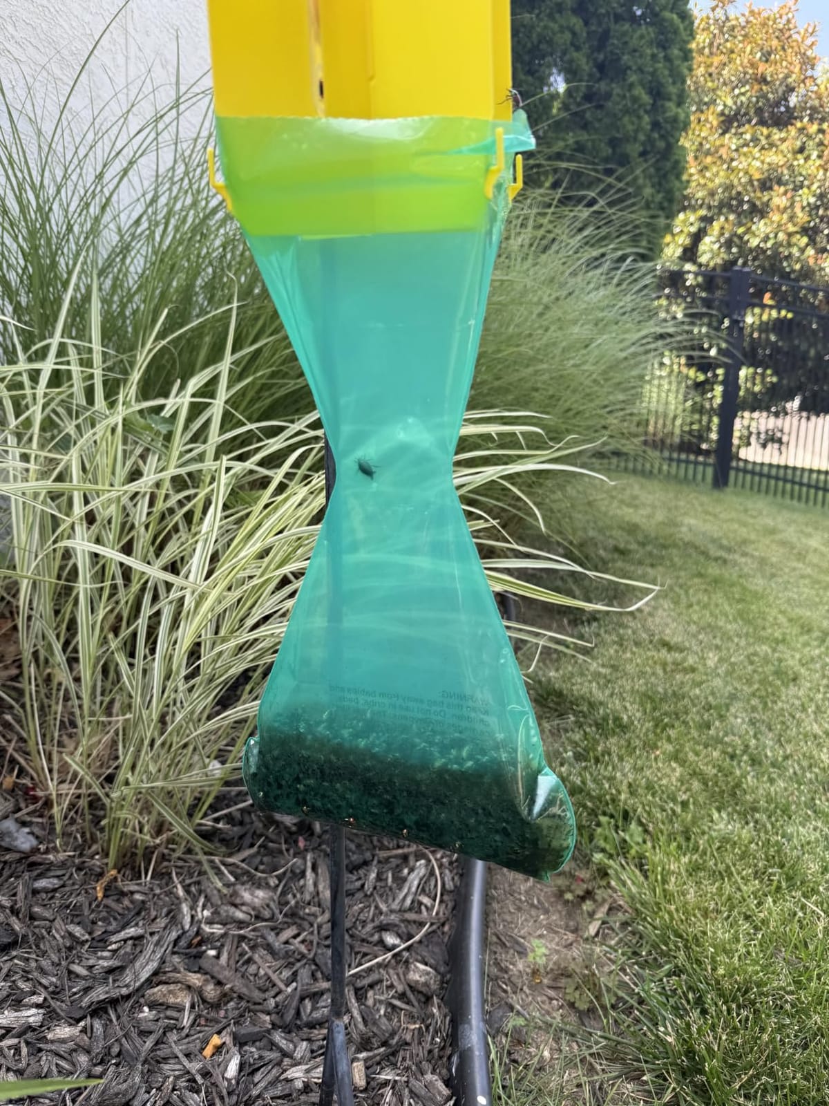 Bonide Beetle Bagger Japanese Beetle Trap Kit for Indoors and Outdoors, 2 Disposable Collection Bags Included customer photo 2