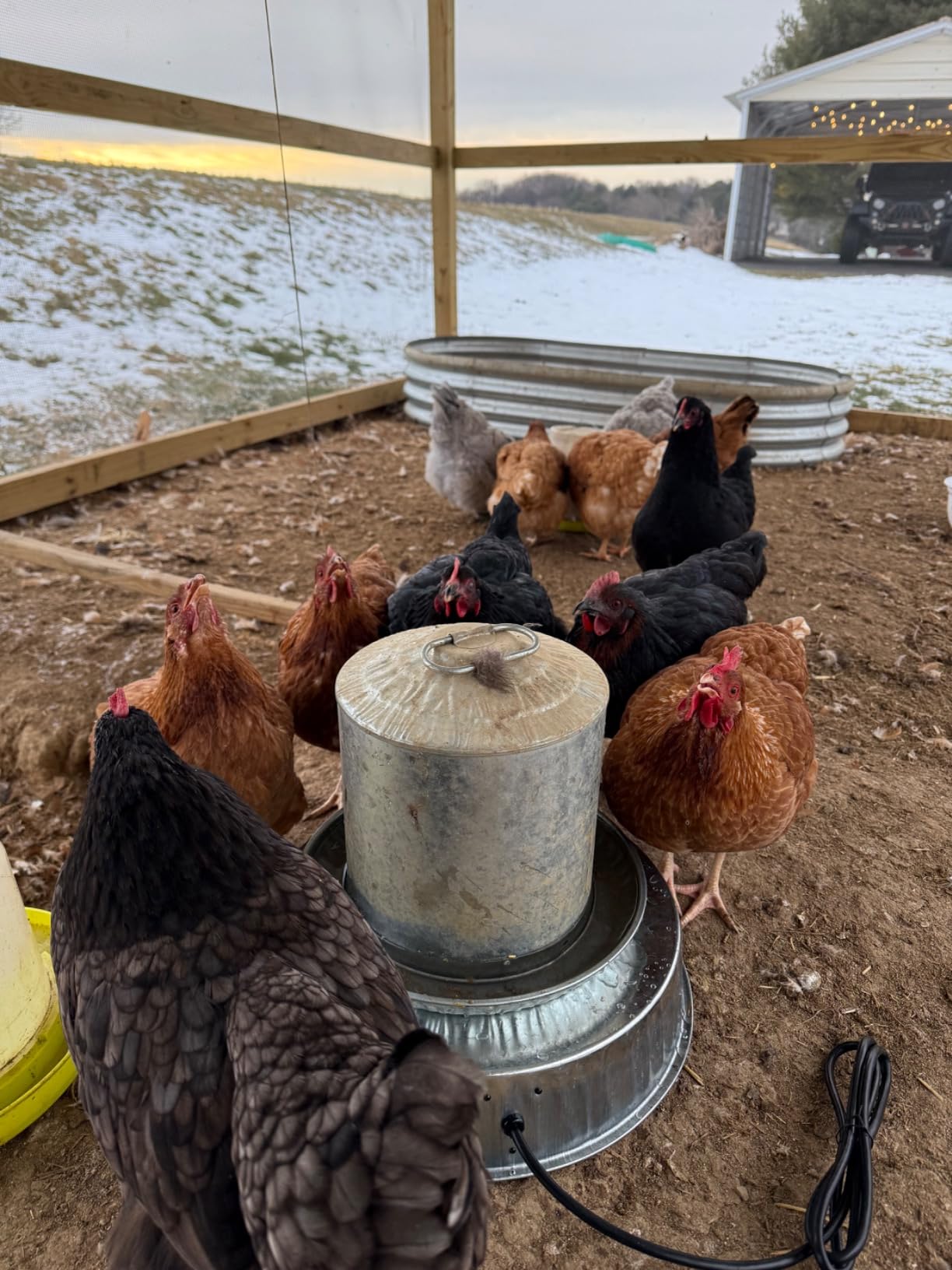 Farm Innovators HP-125 Heated Base for Metal Poultry Founts, 125W customer photo 1