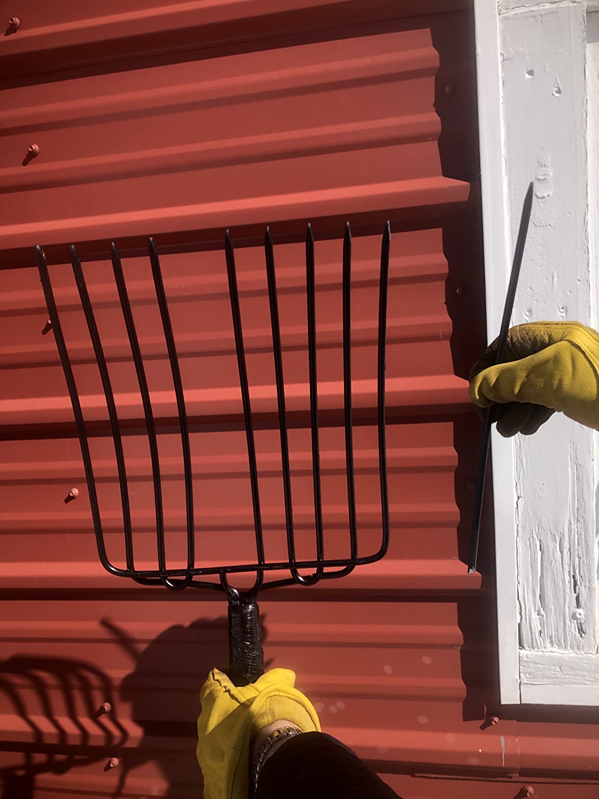 Truper Tru Tough 10-Tine Manure and Bedding Fork, 54-Inch Premium Ash Wood Handle, Forged Steel Head, Heavy-Duty Agricultural & Stable Tool (Model BPJ-10L / 30331) customer photo 2