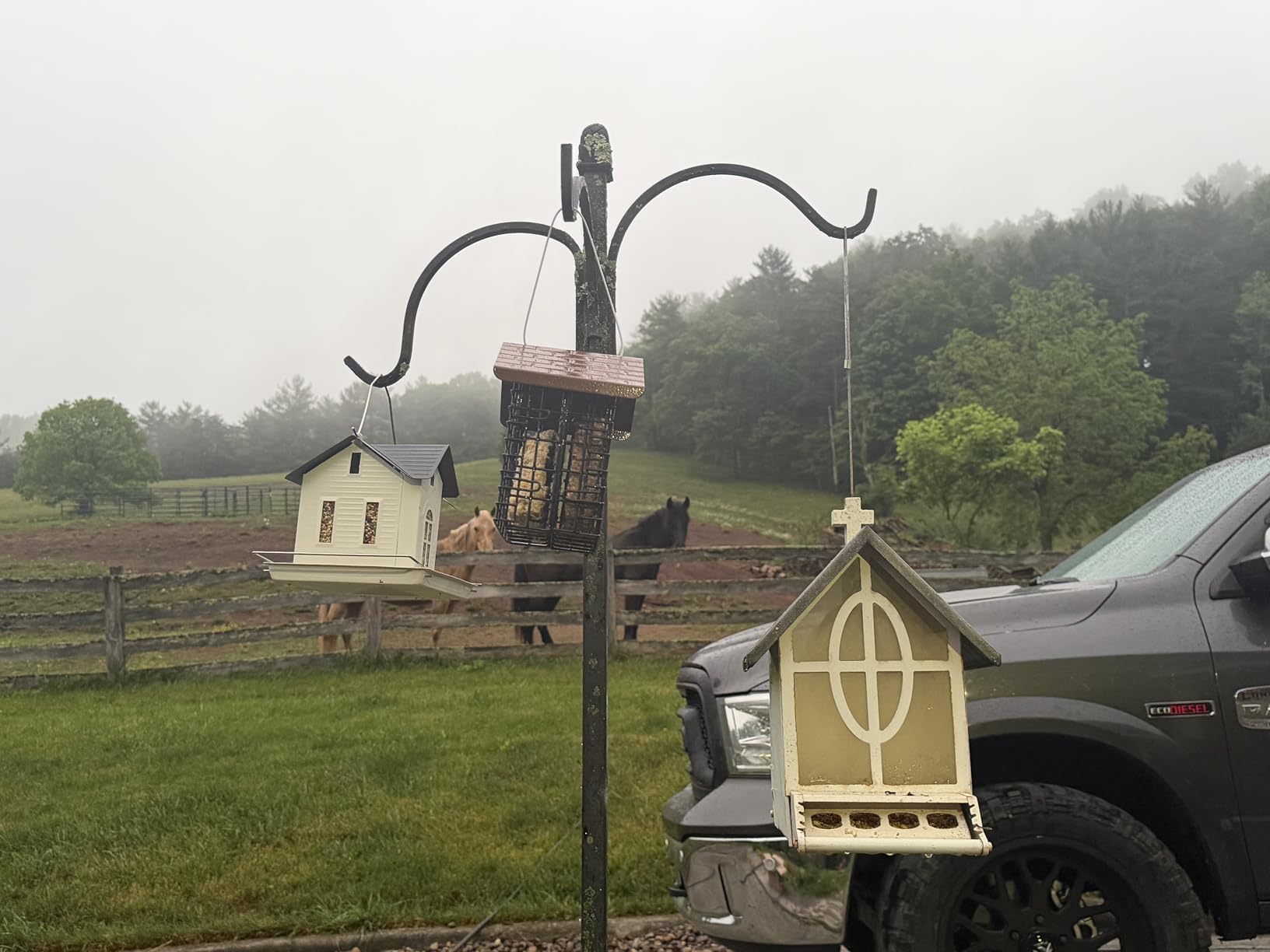 More Birds Double Suet Cake Feeder, Weather Guard, Steel Construction customer photo 1