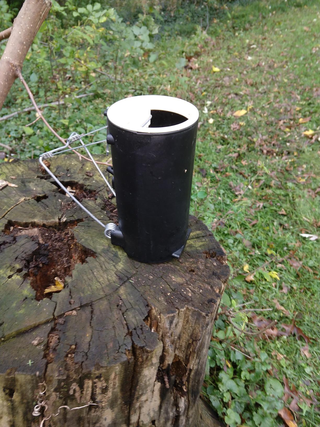 Blackhole Trap - The Original Blackhole Mole, Rodent & Gopher Trap, Spring Loaded, Easy to Use, Reusable Dark Trap Hole for Eliminating Pests in All Yards customer photo 2