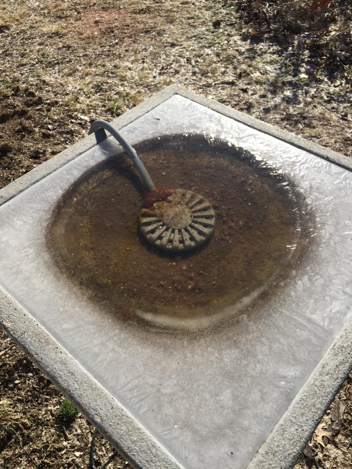 Allied Precision BDT250 Bird Bath De Icer Multiple Thermostat, 250-Watt, Metallic, 4.75-inch diameter customer photo 2