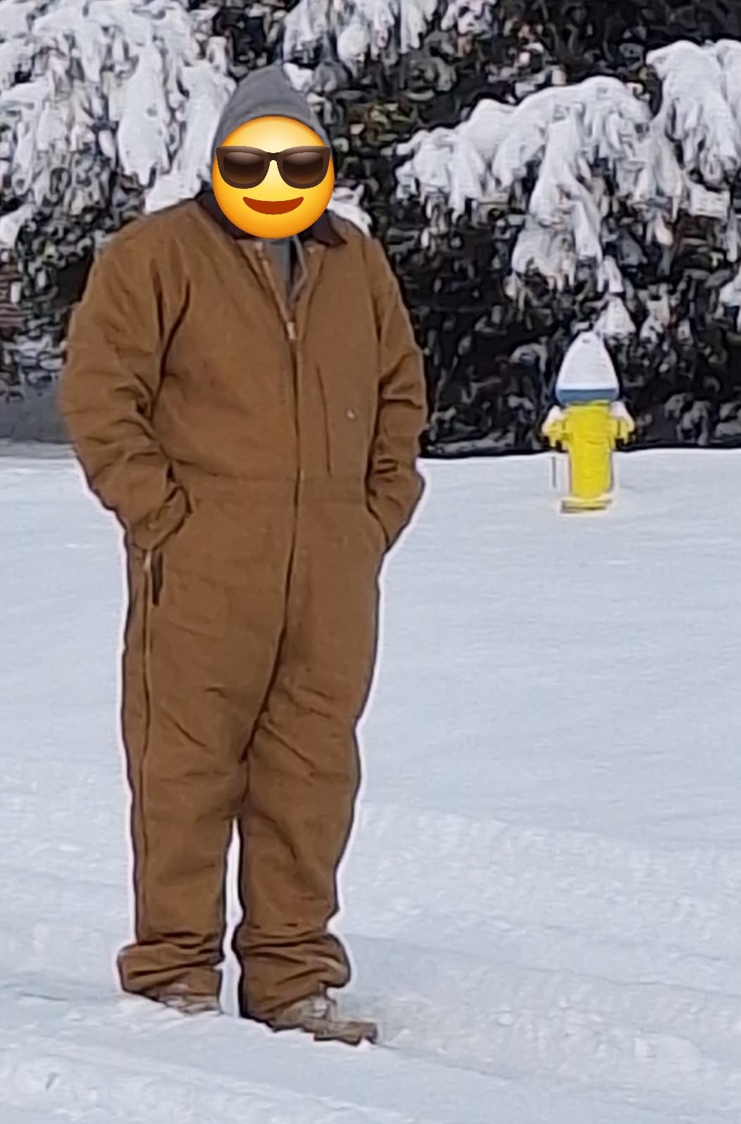 Dickies Men's Premium Insulated Duck Coverall customer photo 1