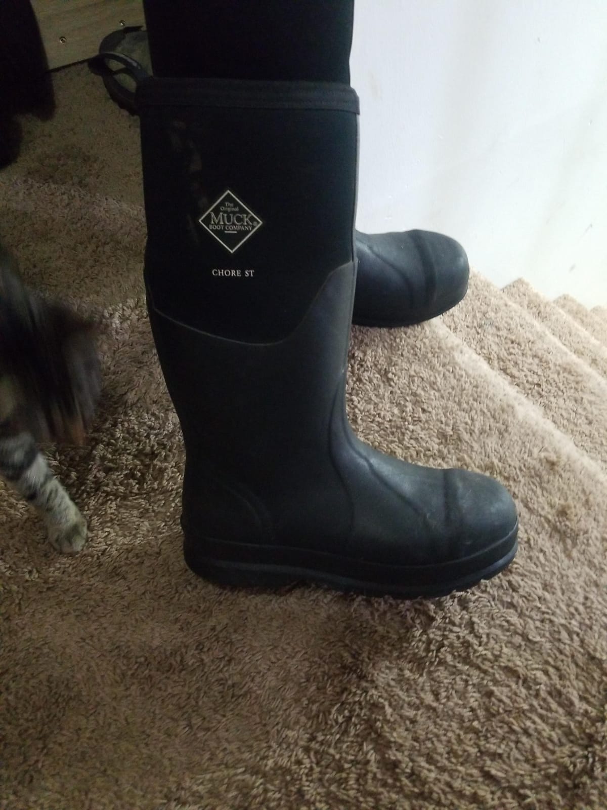 MUCK Chore Classic Men's Steel Toe Boot customer photo 1