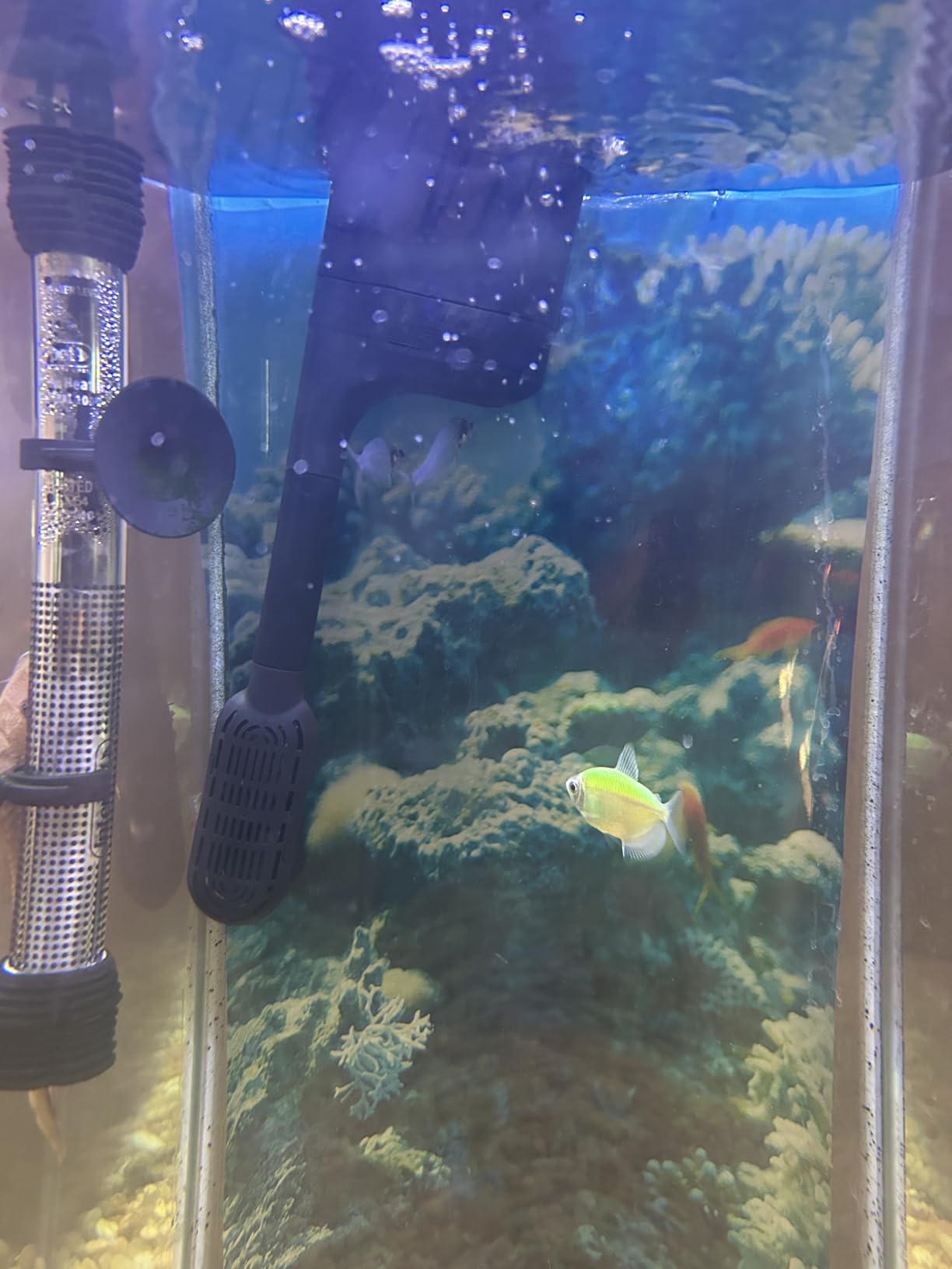 Tetra Whisper EX 70 Filter For 45 To 70 Gallon aquariums, Silent Multi-Stage Filtration customer photo 2