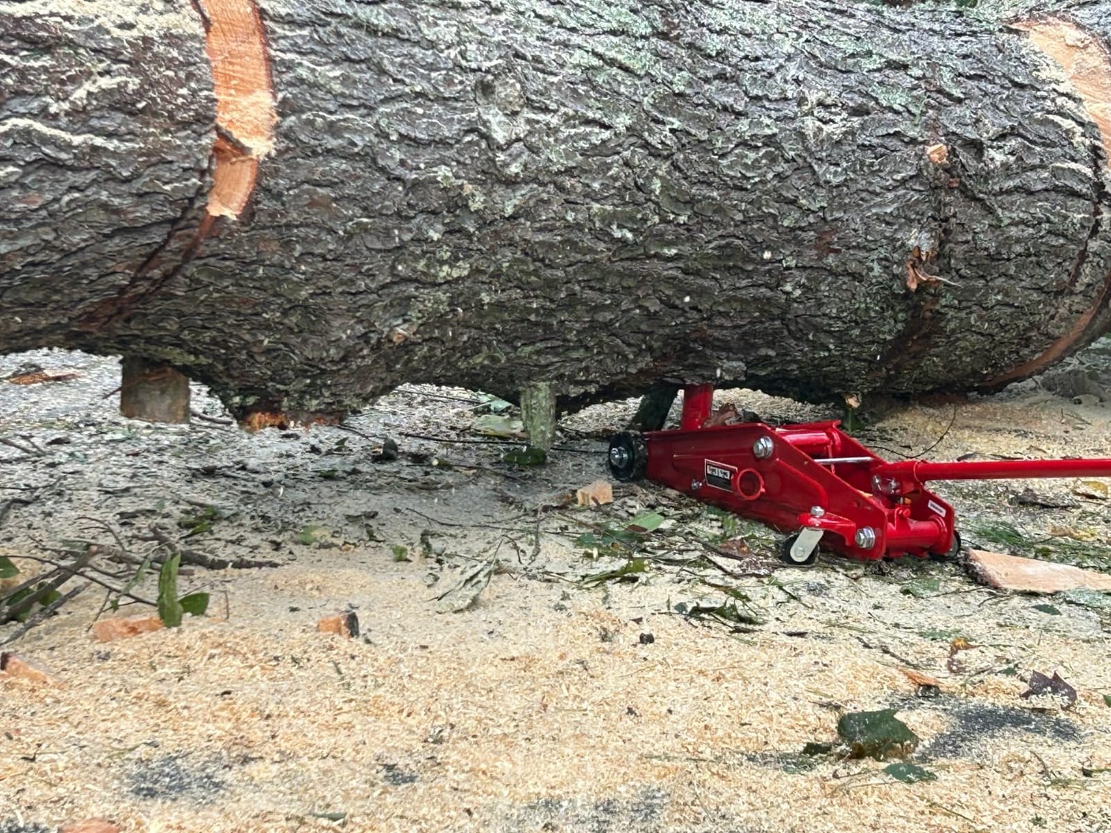 BIG RED Hydraulic Trolley Service/Floor Jack with Extra Saddle (Fits: SUVs and Extended Height Trucks): 3 Ton (6,000 lb) Capacity, Red, T83006 customer photo 1