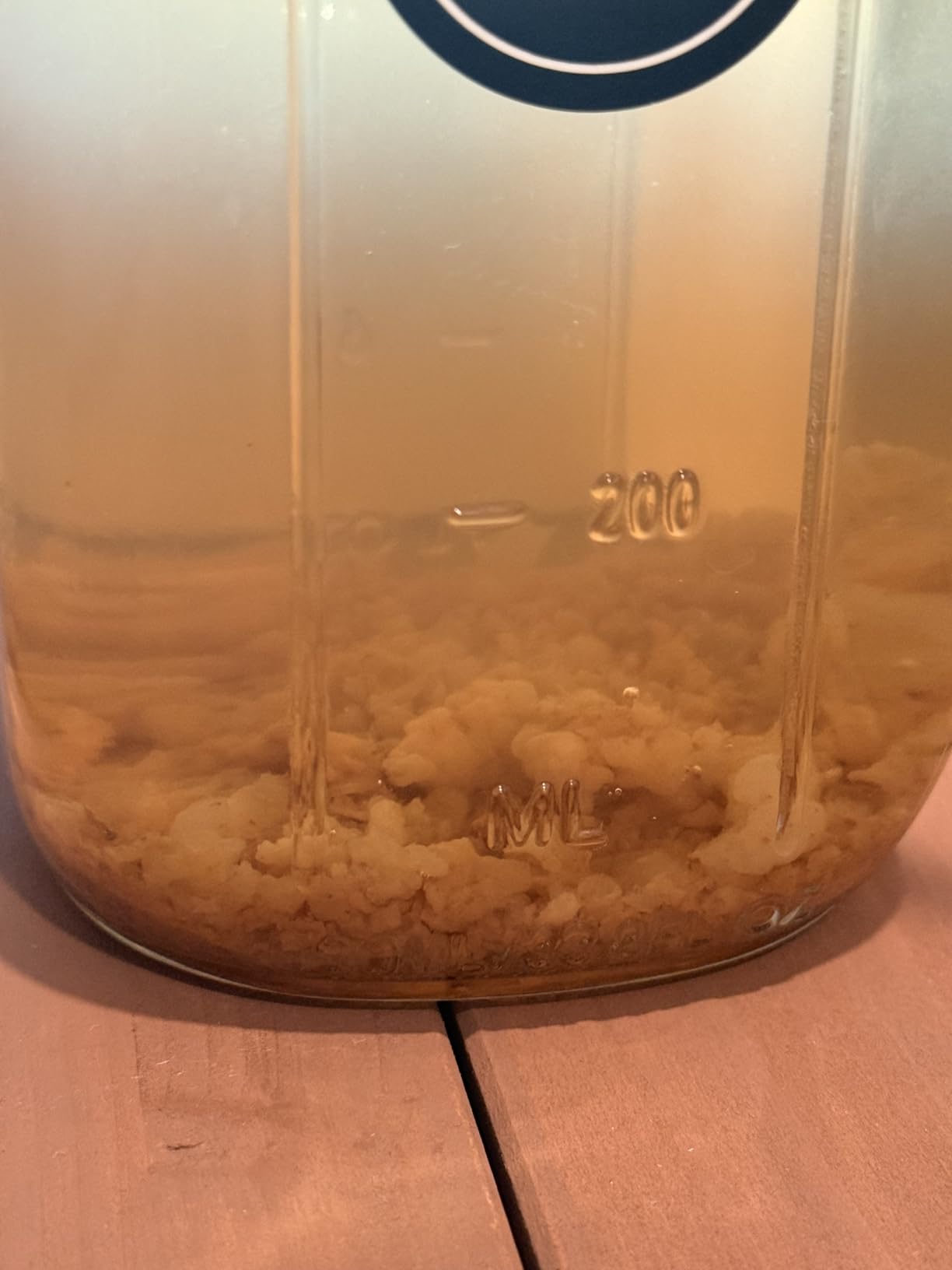Cultures for Health Water Kefir Grains | DIY Fermented Probiotic Drink Powder for Stronger Gut Health | Heirloom Starter Makes Limitless Supply | Non-GMO Dairy Free Vegan Sparkling Water with Enzymes customer photo 1