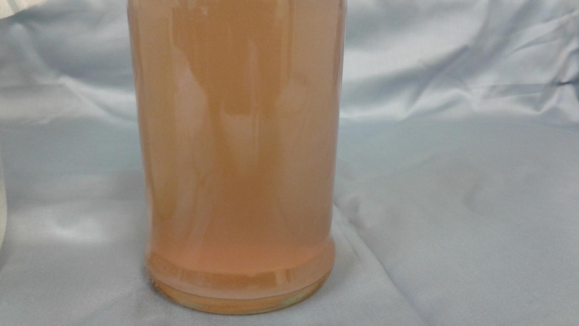 Cultures for Health Water Kefir Grains | DIY Fermented Probiotic Drink Powder for Stronger Gut Health | Heirloom Starter Makes Limitless Supply | Non-GMO Dairy Free Vegan Sparkling Water with Enzymes customer photo 2
