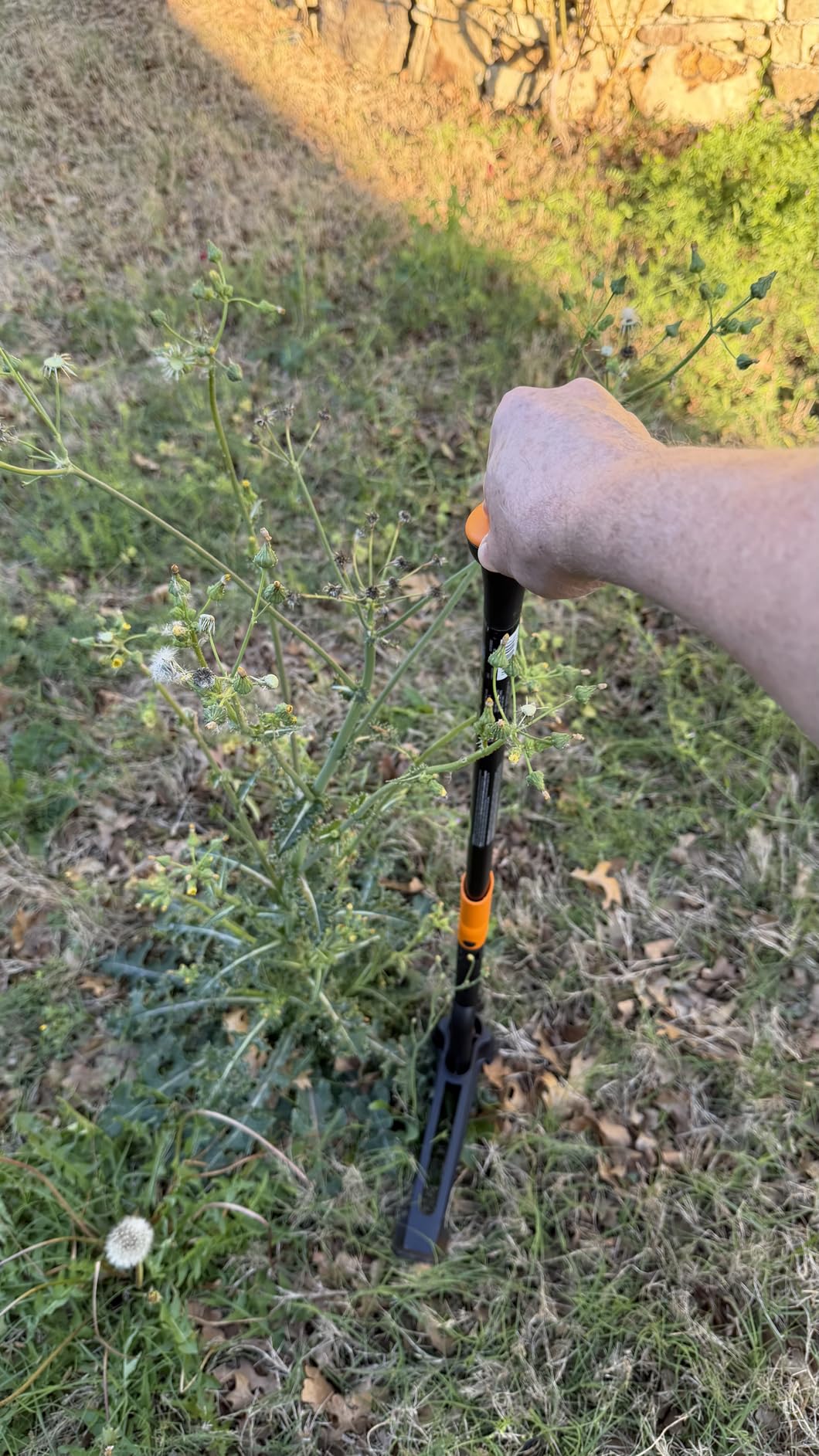 Fiskars Deluxe Stand-Up Weed Puller Tool, 4 Serrated Stainless Steel Claws customer photo 2