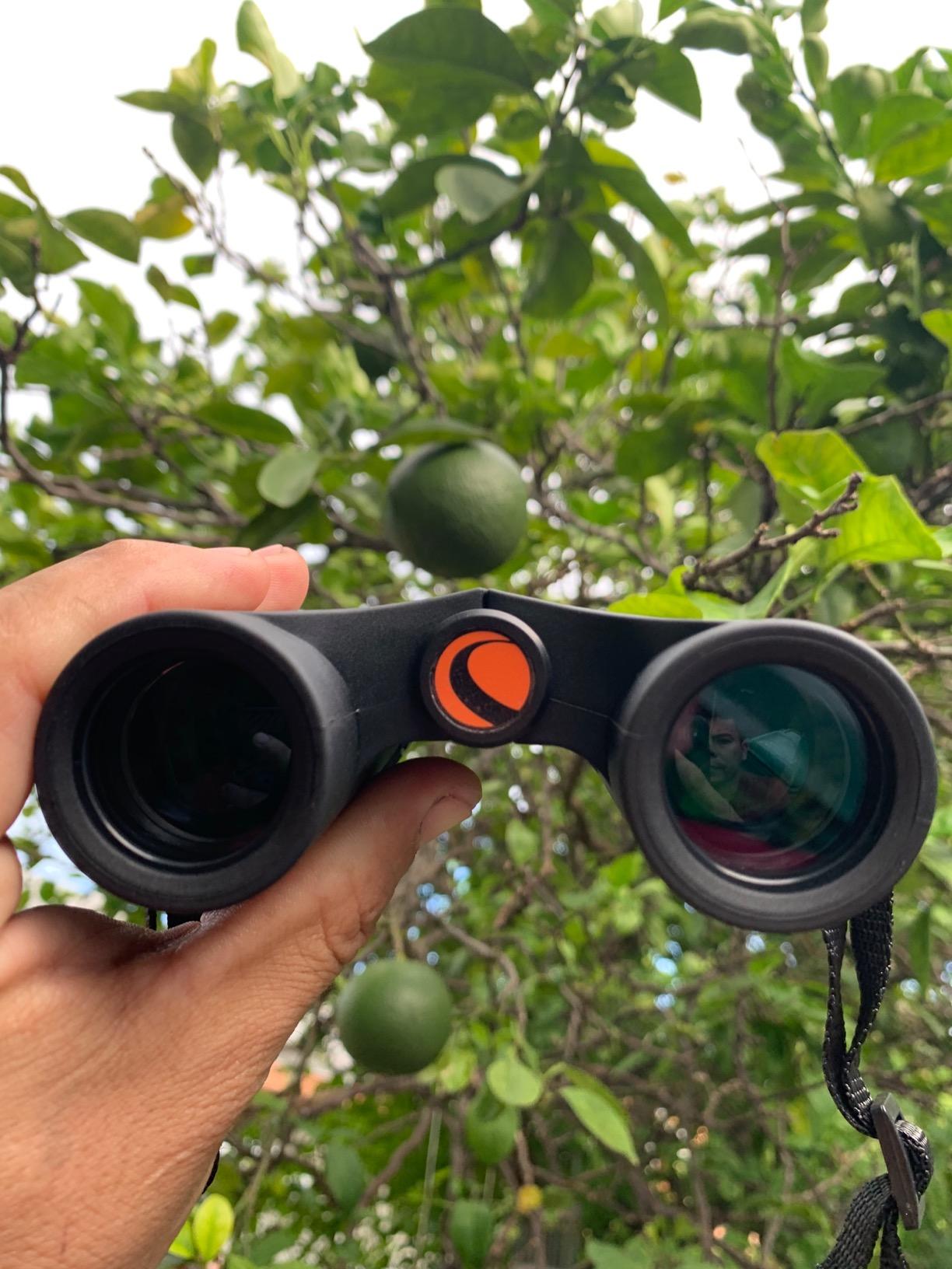 Celestron Outland X 8x25 Pocket Binoculars for Travel & Sports customer photo 2
