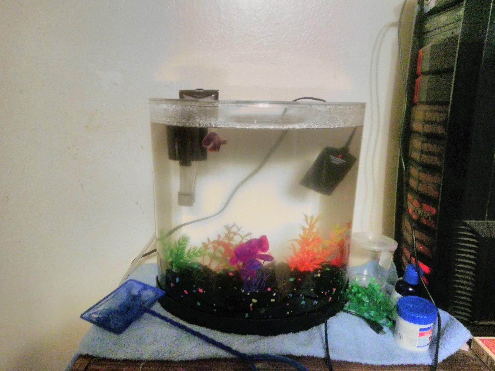 Tetra ColorFusion Starter 3 Gallon Fish Tank Kit for Small Freshwater Fish customer photo 1