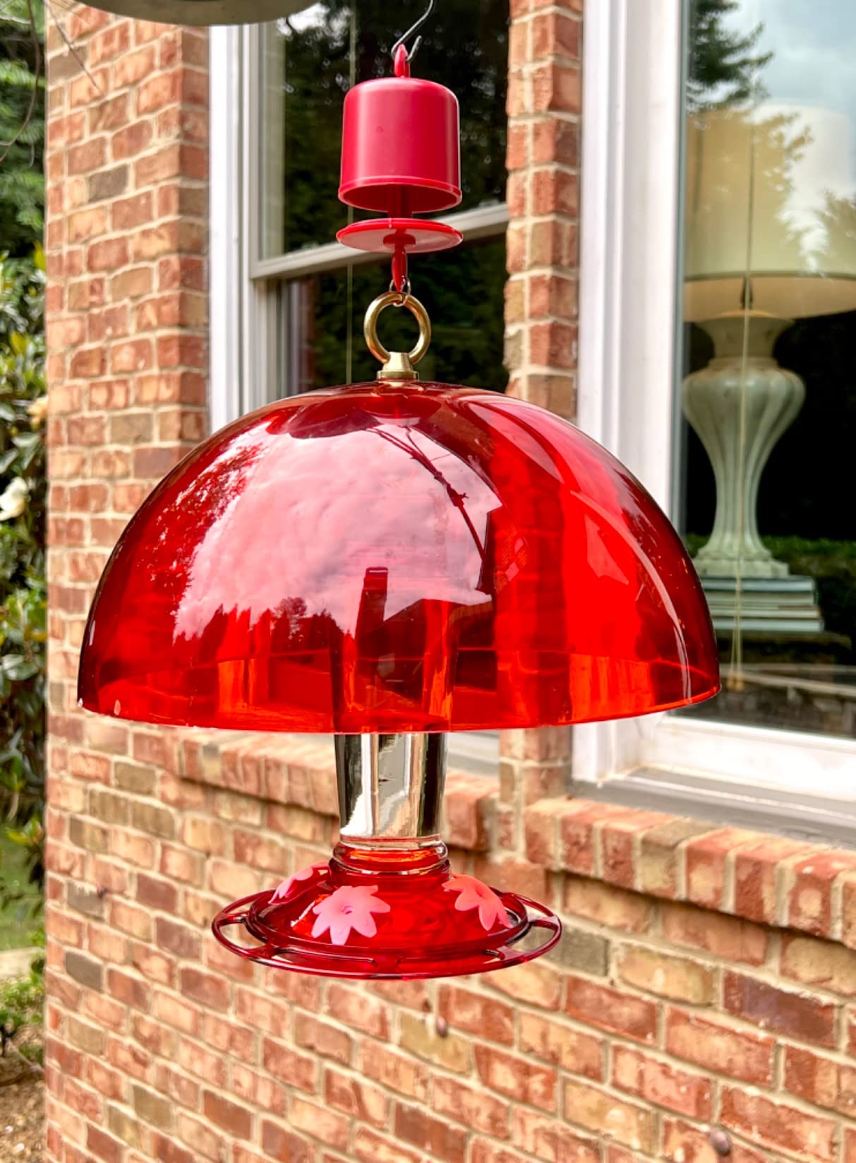 More Birds Bird Health+ Ruby Hummingbird Feeder, Glass Hummingbird Feeders for Outdoors, 4 Feeding Stations, 10 Ounces, Ruby Red customer photo 1