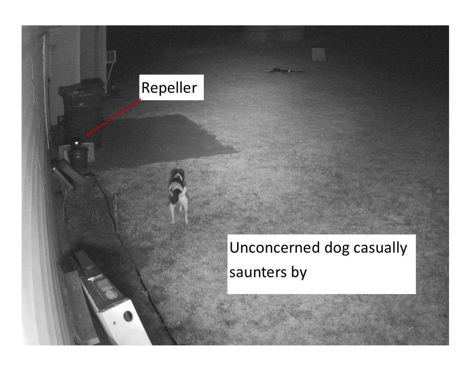 ASPECTEK Yard Sentinel Ultrasonic Animal Repeller, 5500 Sq. Ft. Coverage with 24Hrs Motion Sensor, Night Scanner, Deterrent for Deer, Raccoon, Bear, Rabbit, Skunk and Fox, Includes 10m Extension Cord customer photo 2