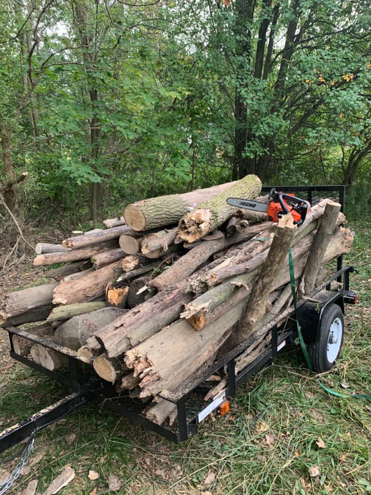 Chain Saw, Gas, 12 In. Bar, 26.9CC customer photo 2