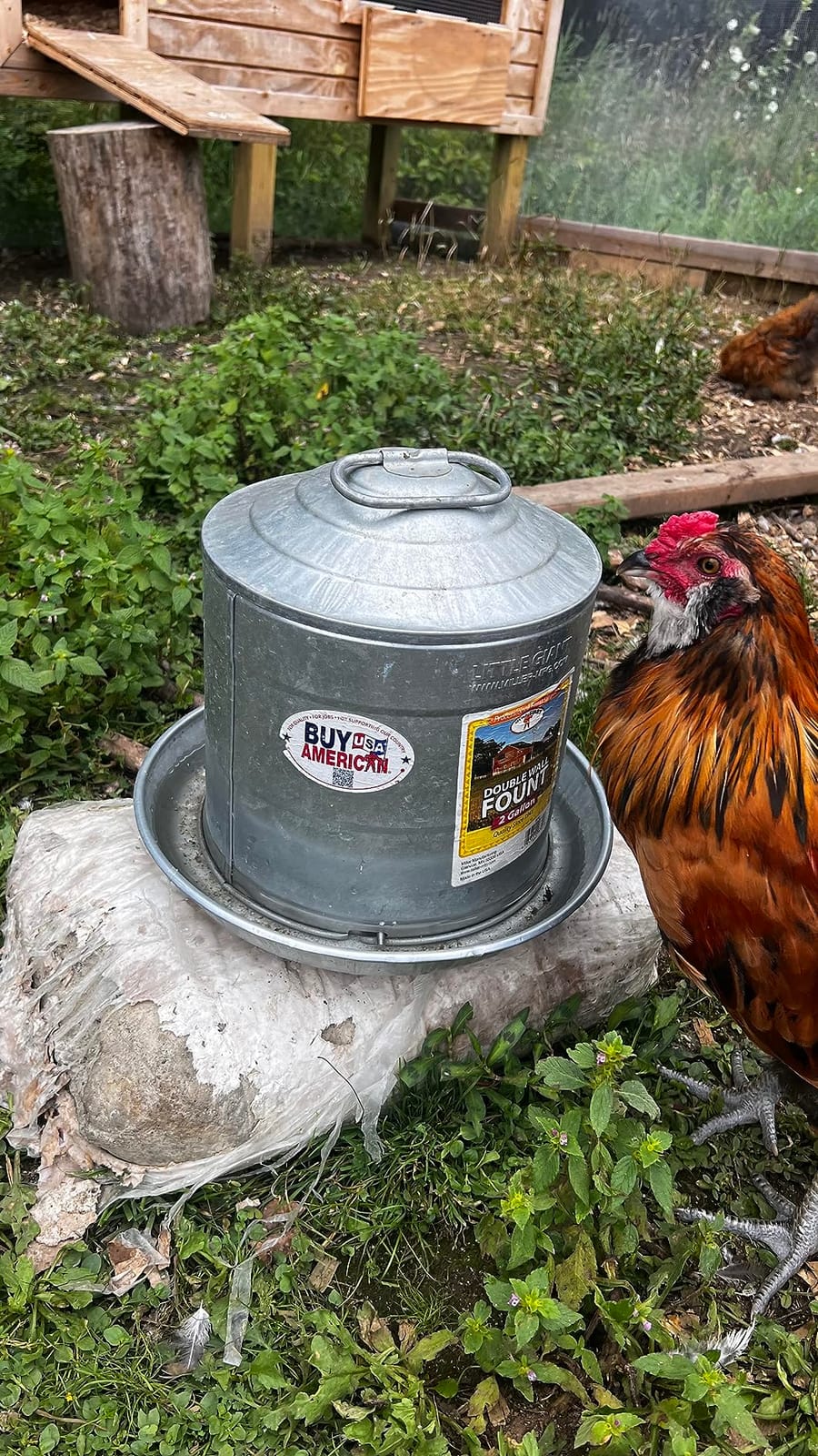 Harris Farms 1000293 Galvanized Hanging Poultry Feeder, 15 lbs, Metal customer photo 1
