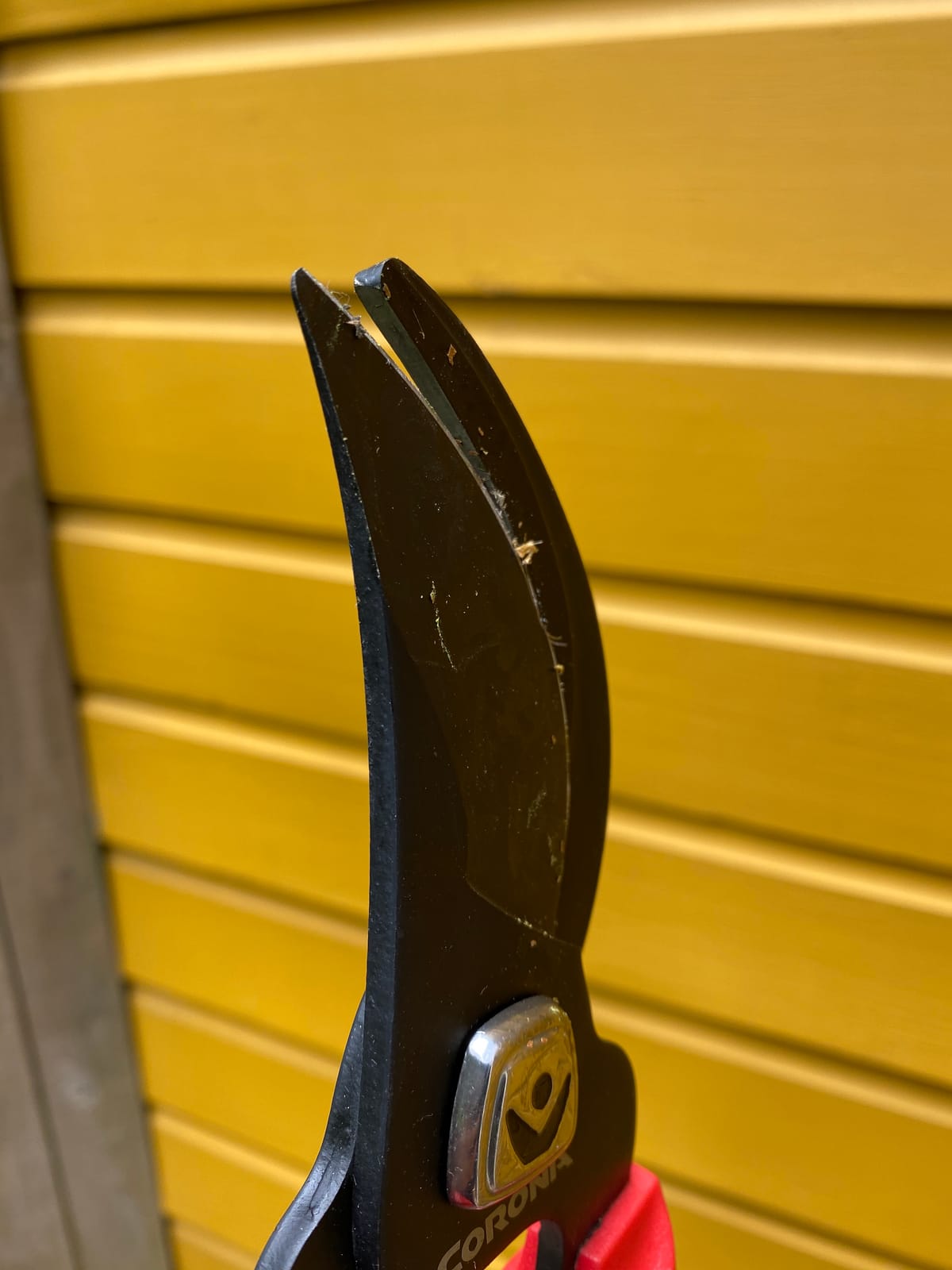 Corona Tools | 30-inch Branch Cutter ComfortGEL Bypass Loppers | Tree Trimmer Cuts Branches up to 1 ½-inches in Diameter | SL 3264 customer photo 1
