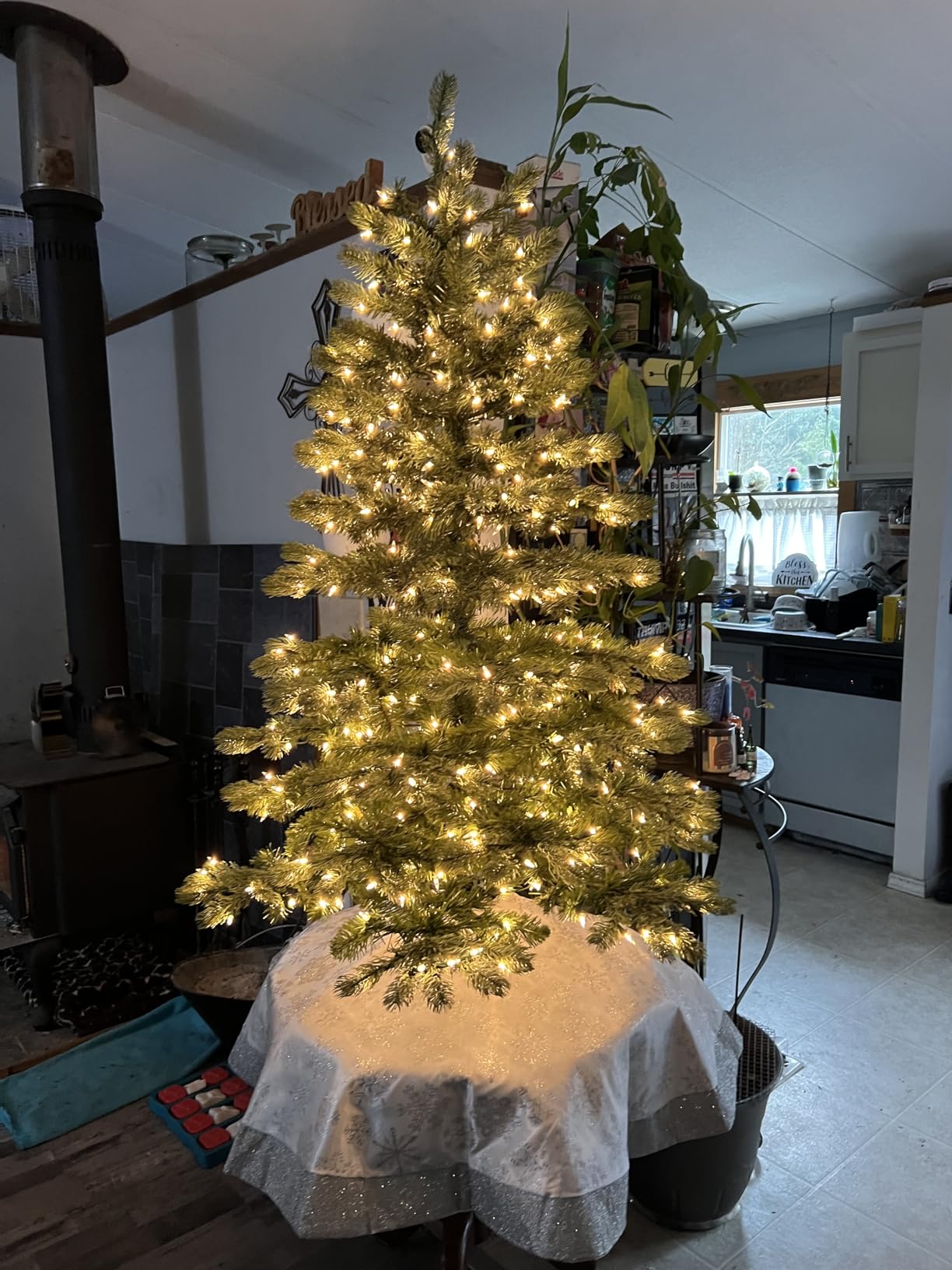 National Tree Company 6.5ft Pre-Lit Downswept Douglas Fir Christmas Tree customer photo 1