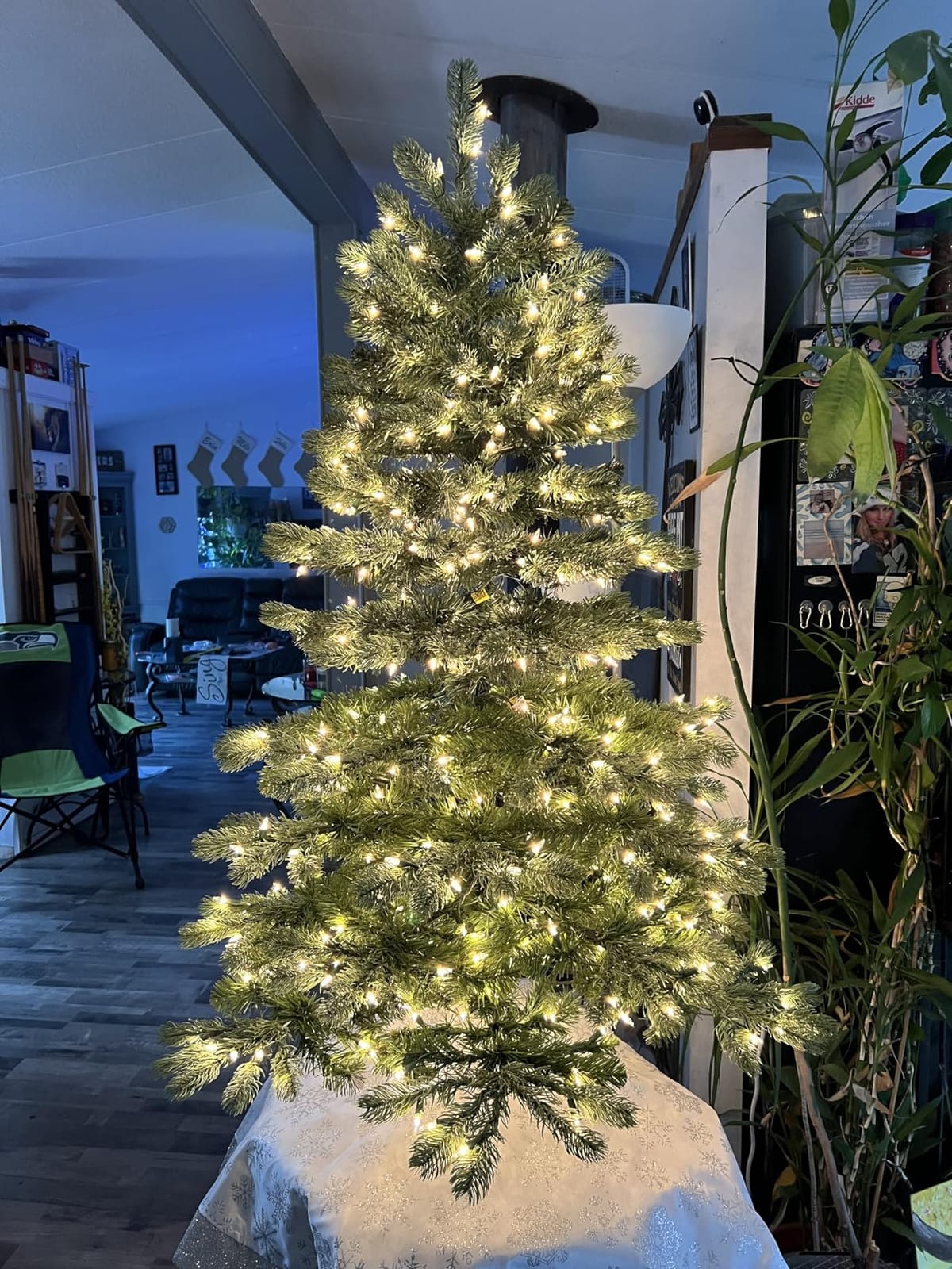 National Tree Company 6.5ft Pre-Lit Downswept Douglas Fir Christmas Tree customer photo 2