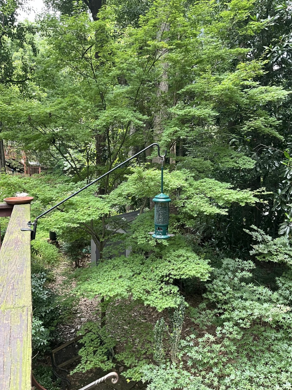 Squirrel Buster Standard Squirrel-proof Bird Feeder w/4 Metal Perches, 1.3-pound Seed Capacity, garden green | Four metal perches, weight-triggered closure, chew-proof design, easy cleaning customer photo 1
