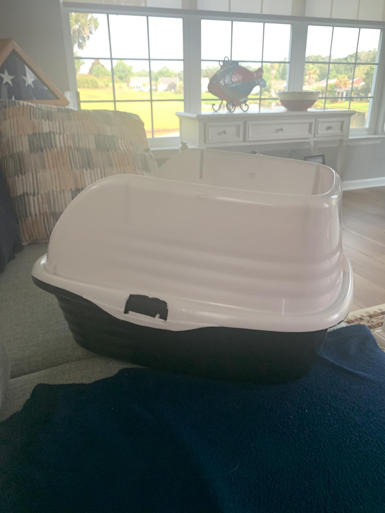 Arm & Hammer Rimmed Open Cat Litter Box, Wave with High Sides, High Sided Cat Litter Pan, Made in USA, Gray customer photo 2