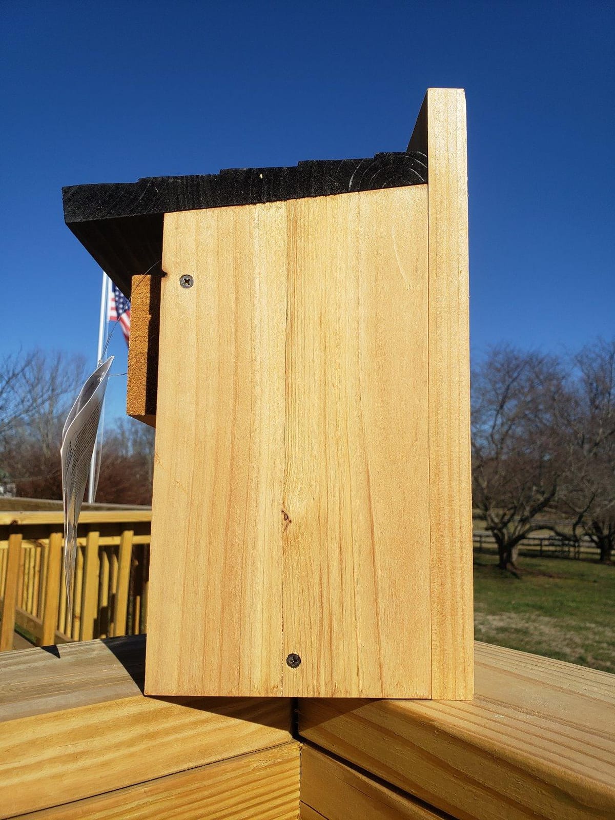 Nature's Way Bird Products CWH3 Cedar Bluebird Box House customer photo 1