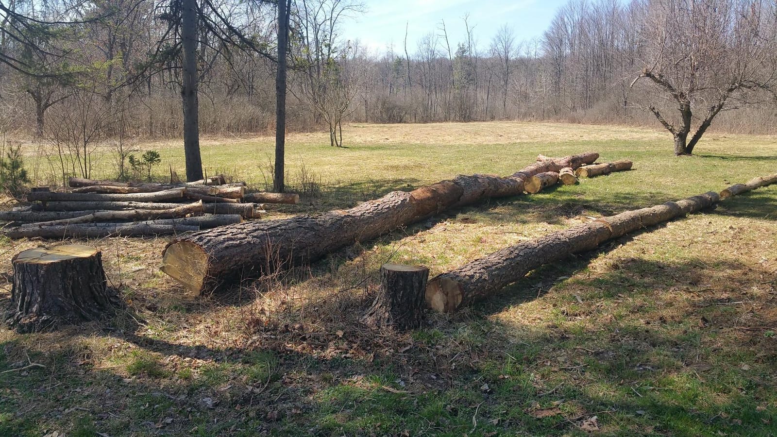 Chain Saw, Gas, 20 in. Bar, 59.8cc customer photo 1
