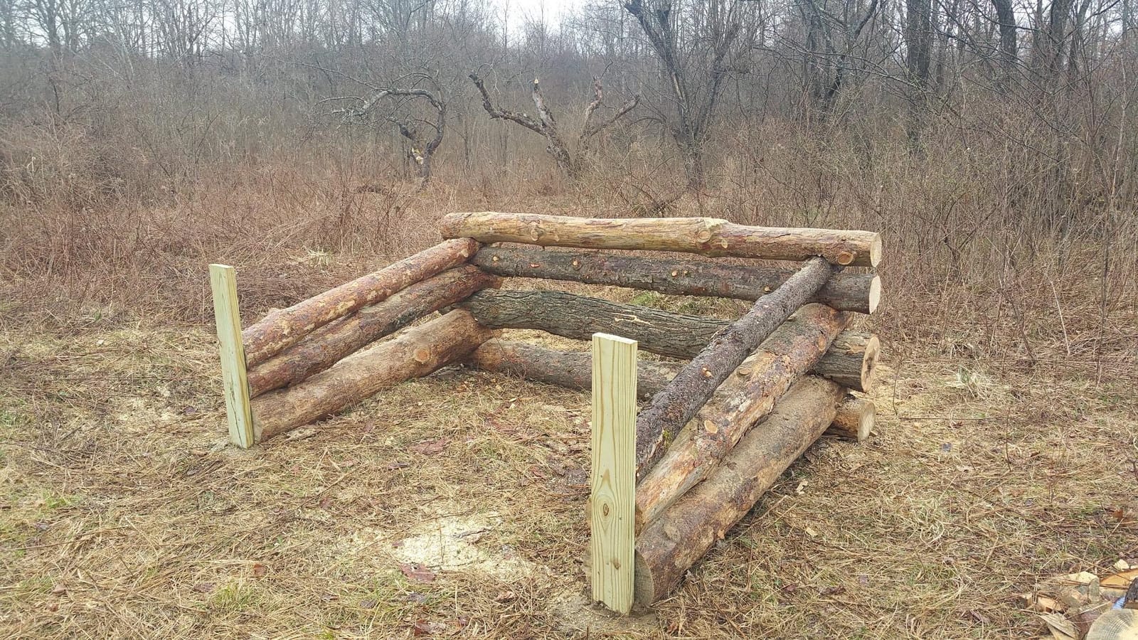 Chain Saw, Gas, 20 in. Bar, 59.8cc customer photo 2