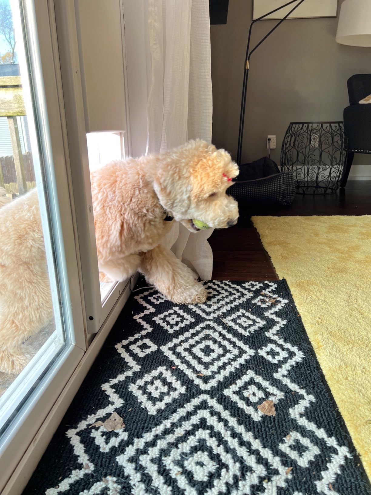 Power Pet Smart Automatic Electronic Pet Door by High Tech Pet (Patio Regular - 75