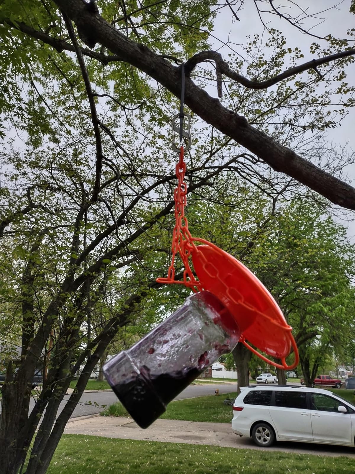 Perky-Pet Wild Oriole Jelly Bird Feeder, 32oz Capacity customer photo 1