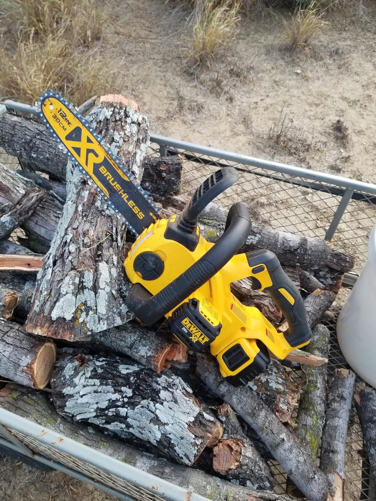 Dewalt Chainsaw Compact 5AH 20V DCCS620P1 customer photo 2