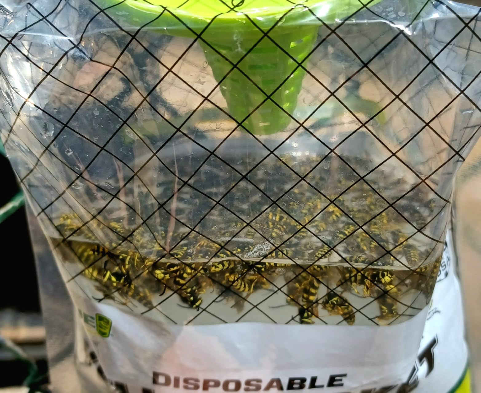 RESCUE! Disposable Summer Yellowjacket Trap - Mountain & Pacific Formula - 6 Traps customer photo 2