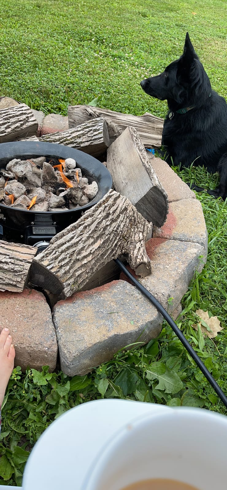 Outland Living Portable Propane Fire Pit, 19-inch, 58,000 BTU with Fire Pit Cover & Carry Kit, Smokeless Gas Firebowl | Perfect for Camping, Patio, Backyard, Tailgating, Deck, RV| Black 893 Deluxe customer photo 2