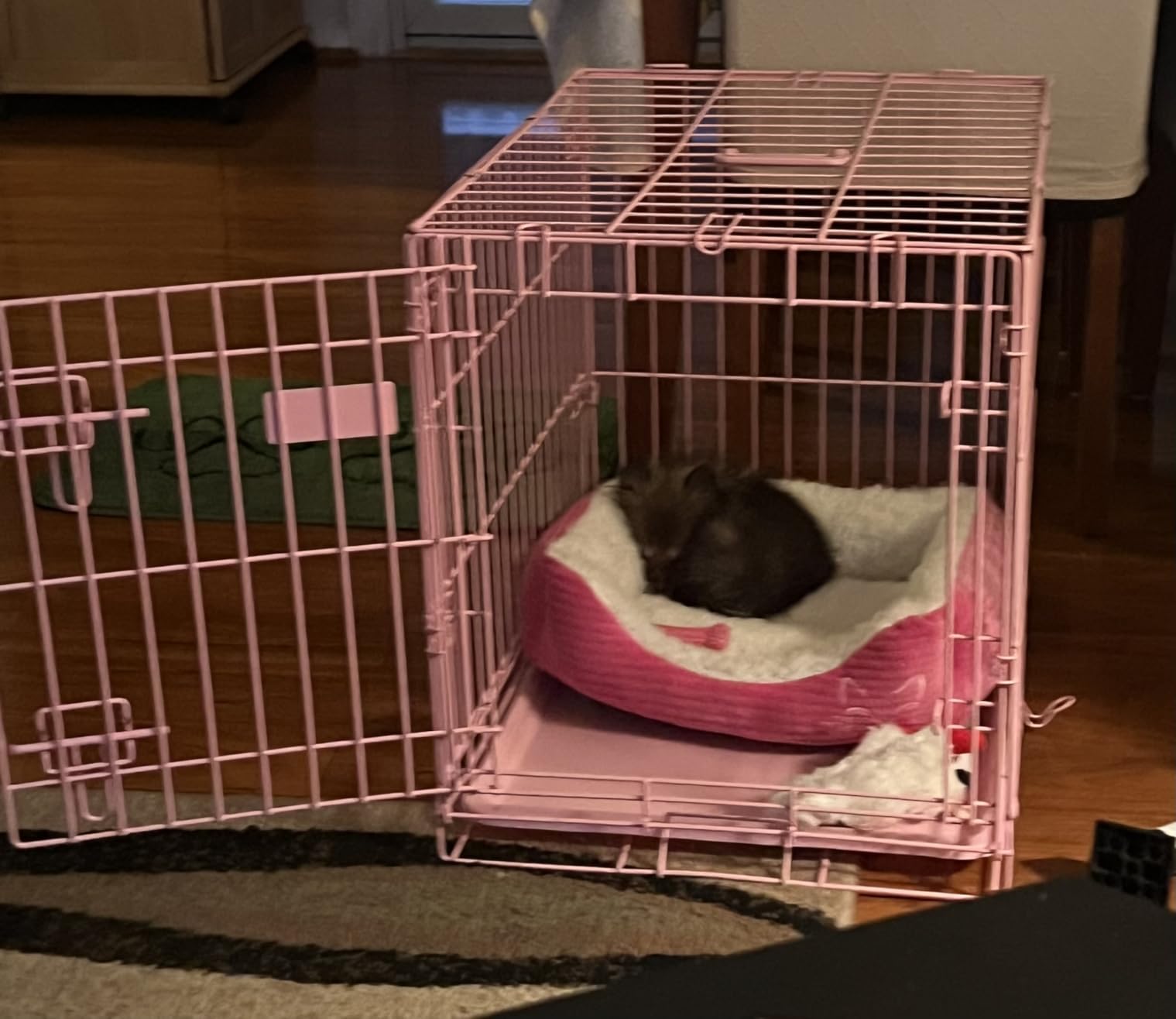 Carlson Pink Secure and Compact Single Door Metal Dog Crate, Small customer photo 1
