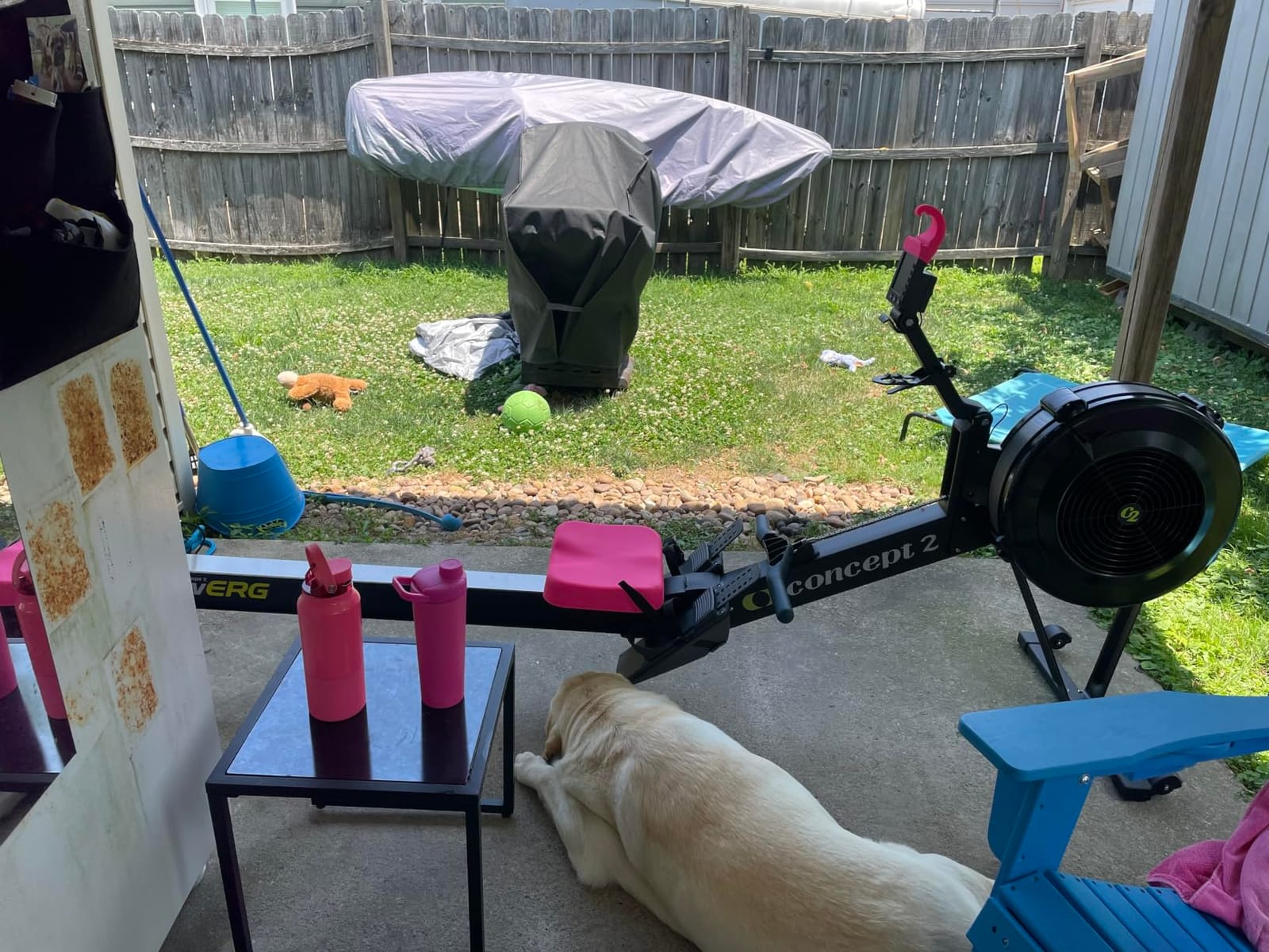 Concept2 RowErg Indoor Rowing Machine - PM5 Monitor, Device Holder, Adjustable Air Resistance, Easy Storage customer photo 2