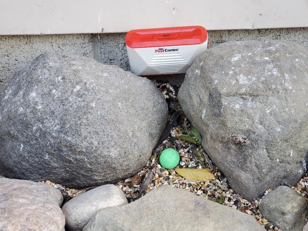 PestContro Portable Ultrasonic Rodent Repeller, Cordless Non-Lethal Pest Control, Dual Frequency, Mice Rats Squirrels Chipmunks Kitchen Office Garage Basement Shed Storage Attic customer photo 2
