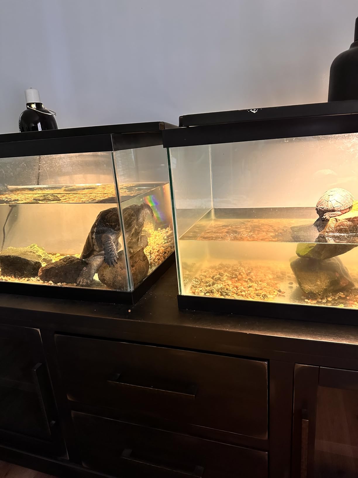 Marineland Magniflow 400 GPH Canister Aquarium Filter customer photo 2