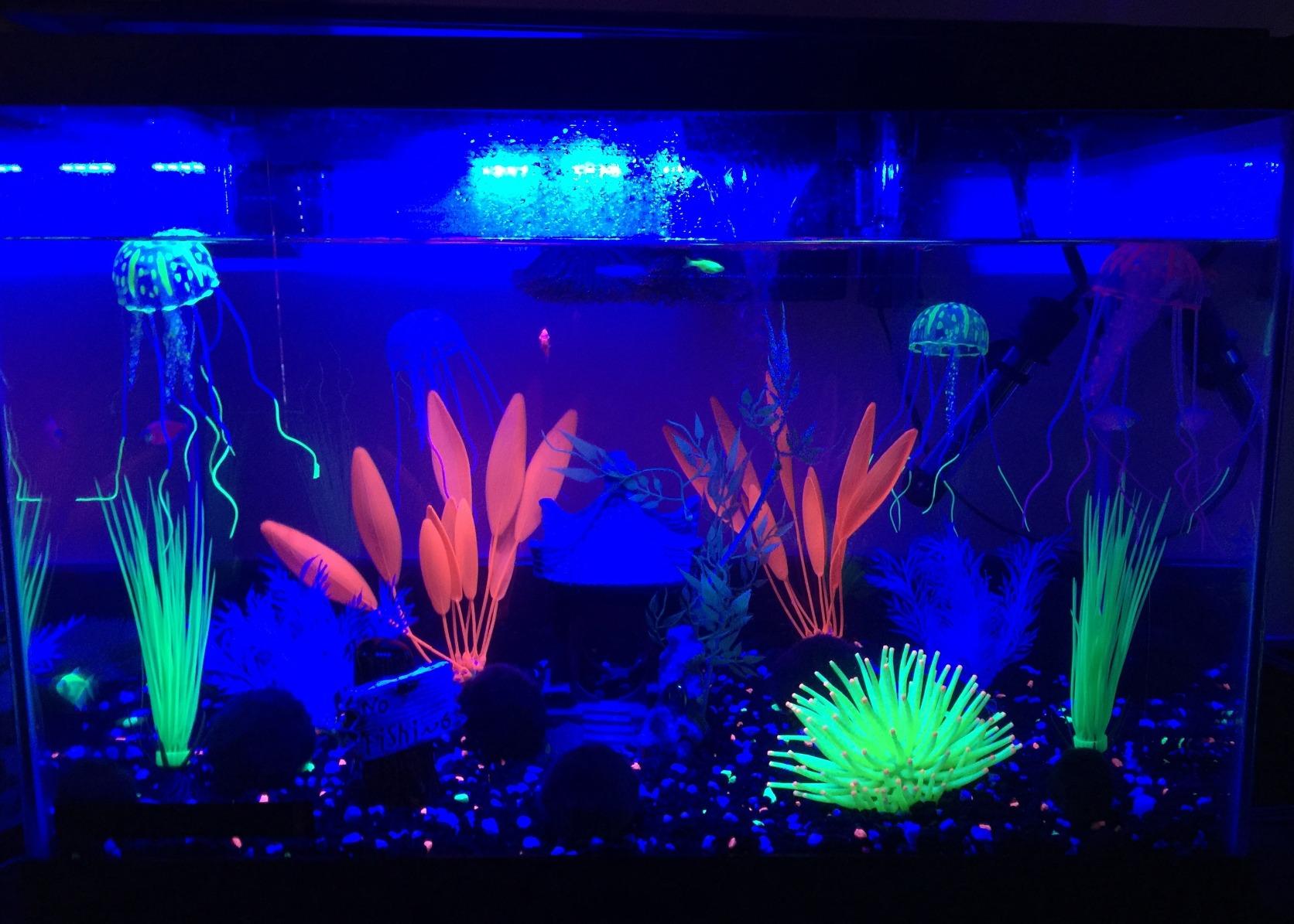 GloFish 20 Gallon Aquarium Kit with LED Lights, Decor Heater and Filter customer photo 1