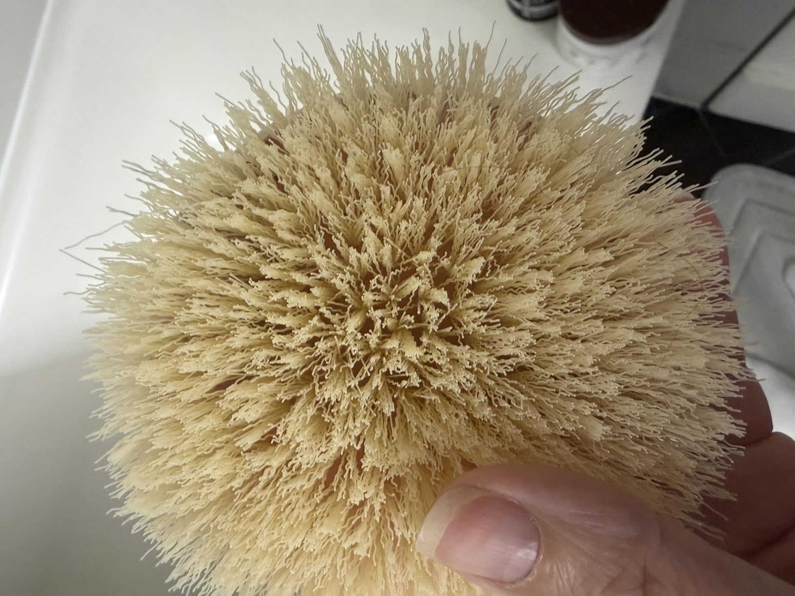 EcoTools Dry Body Brush for Dry Brushing, Smooth Skin, 1 Count customer photo 2