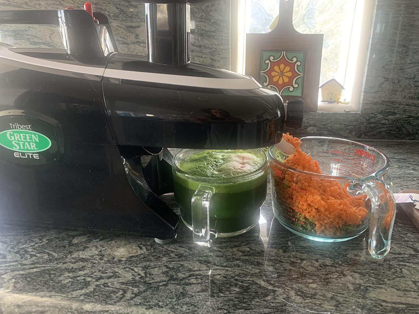 Tribest Greenstar GSE-5010 Elite Twin Gear Cold Press Slow Masticating Juicer (Black) customer photo 2