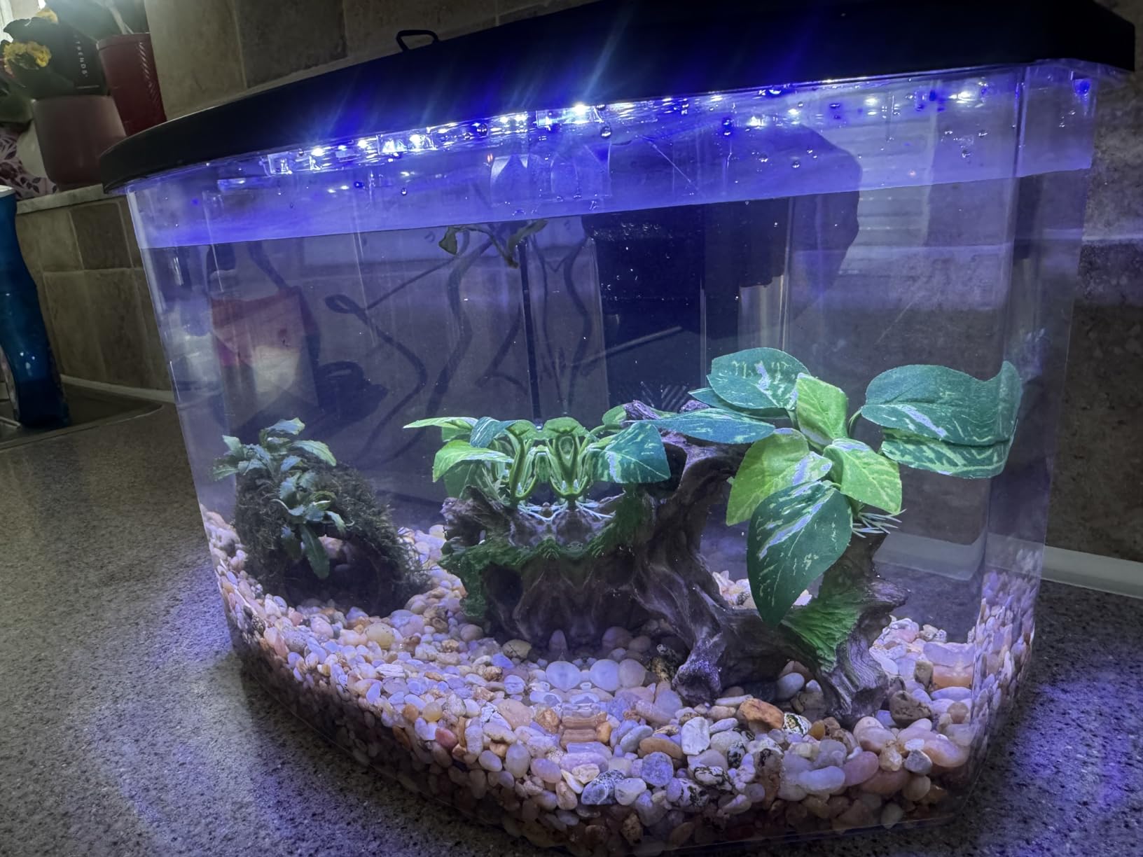 Koller Products 6.5-Gallon Aquarium Kit with Power Filter and LED Lighting, (AP650) customer photo 1