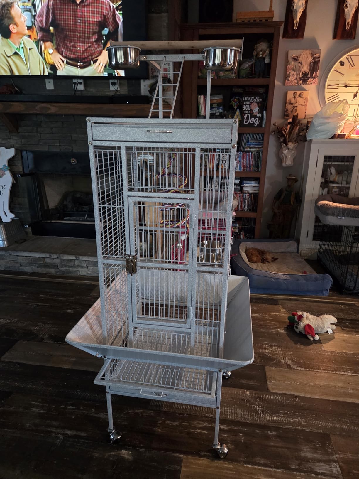 Yaheetech Wrought Iron Bird Cages, Play Top Large Aviary with Stand for Cockatiel Parrot Sun Parakeet Conures Lovebird Budgie Finch African Grey White, 61-inch customer photo 1