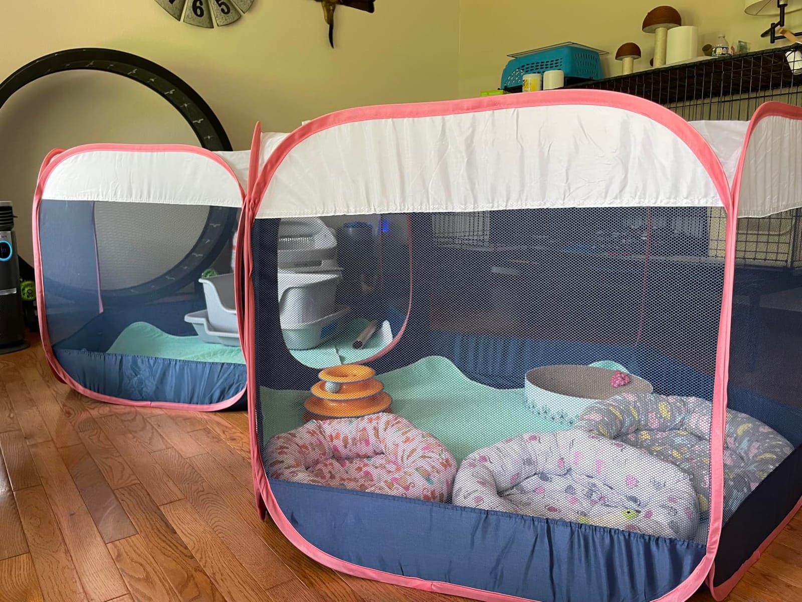 FurHaven Soft-Sided Dog & Cat Playpen, Portable Foldable Indoor & Outdoor Pet Playpen with Mesh Windows & Zippered Door, Gray, Extra Large customer photo 1