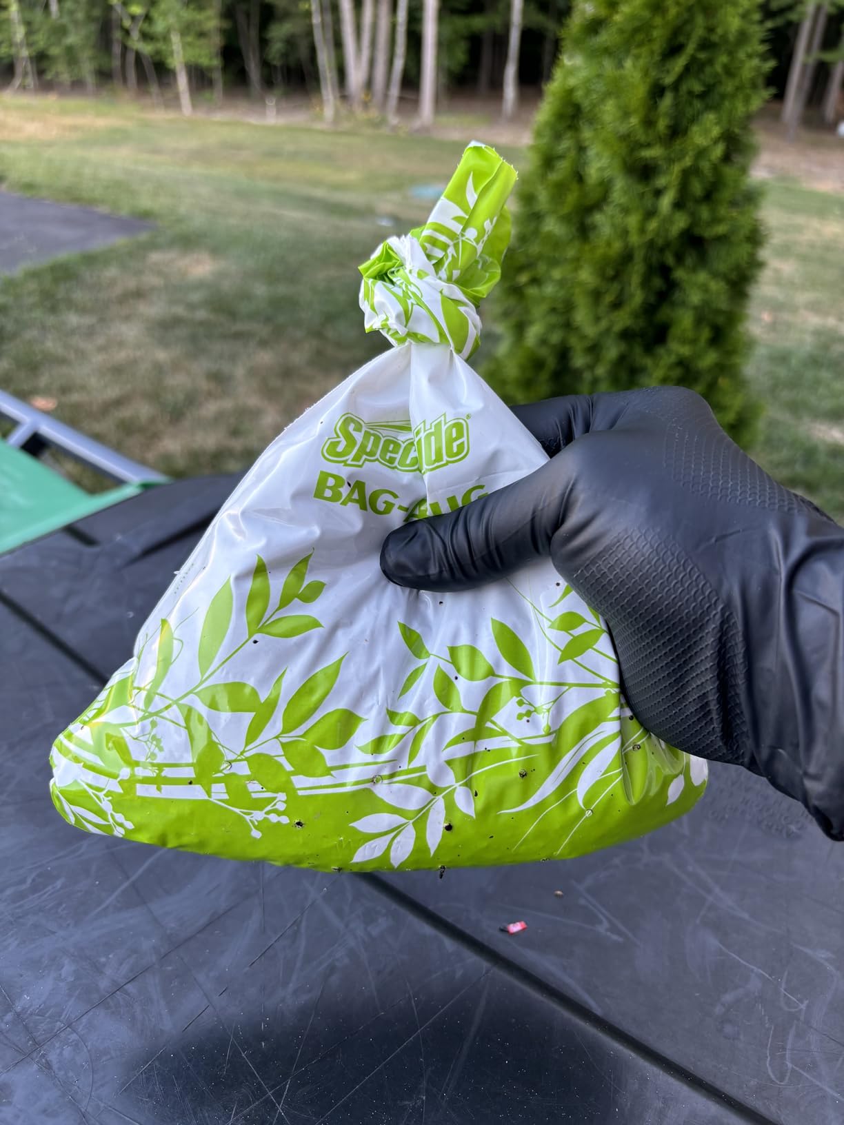 Spectracide Bag-A-Bug Japanese Beetle Trap 2, Traps Japanese Beetles, Protects Your Yard, 2 Count customer photo 1